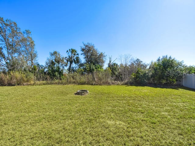 5157 White Chicory Drive Apollo Beach FL 33572 TB8459303 image33