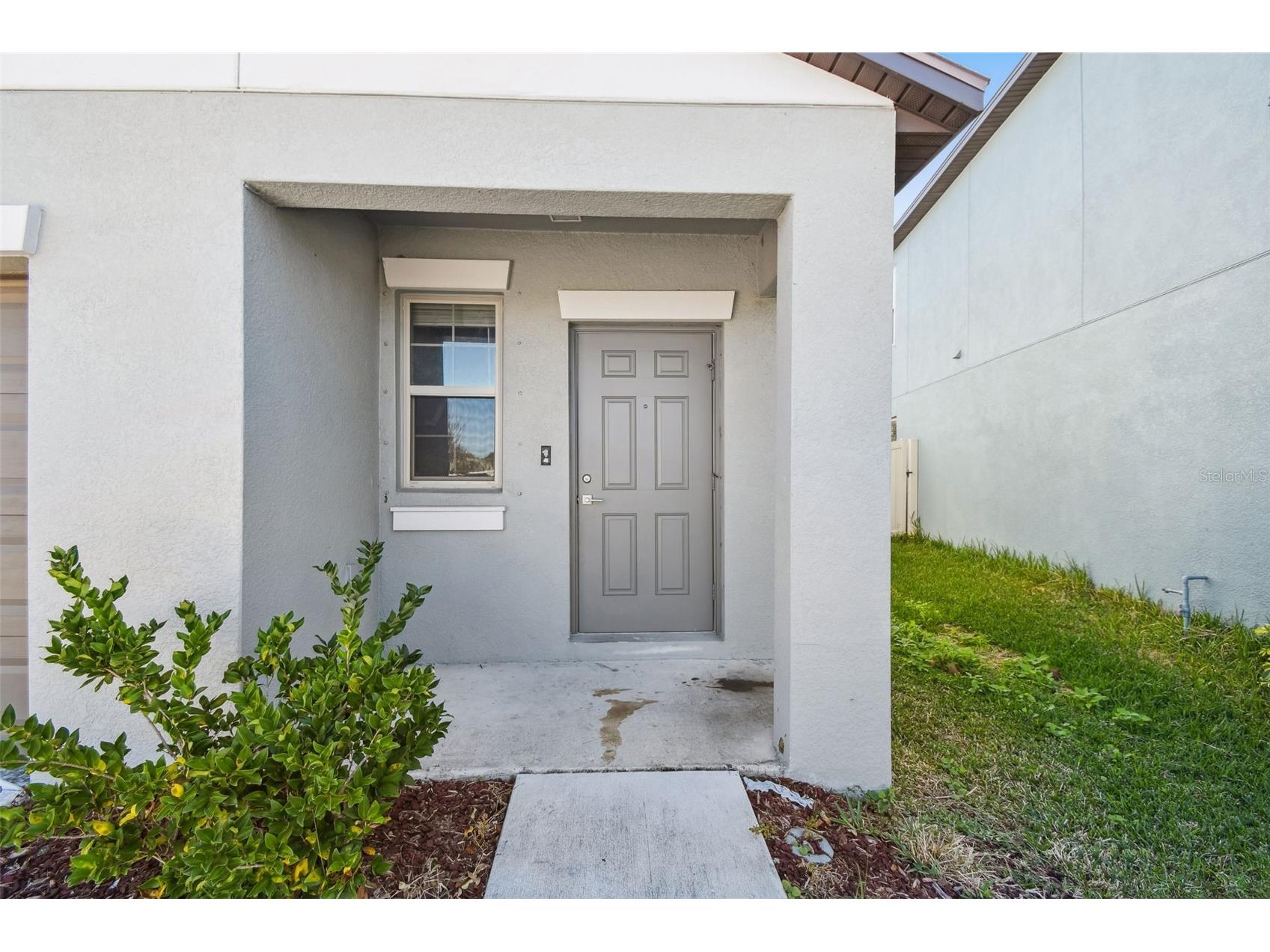 5157 White Chicory Drive Apollo Beach FL 33572 TB8459303 image5