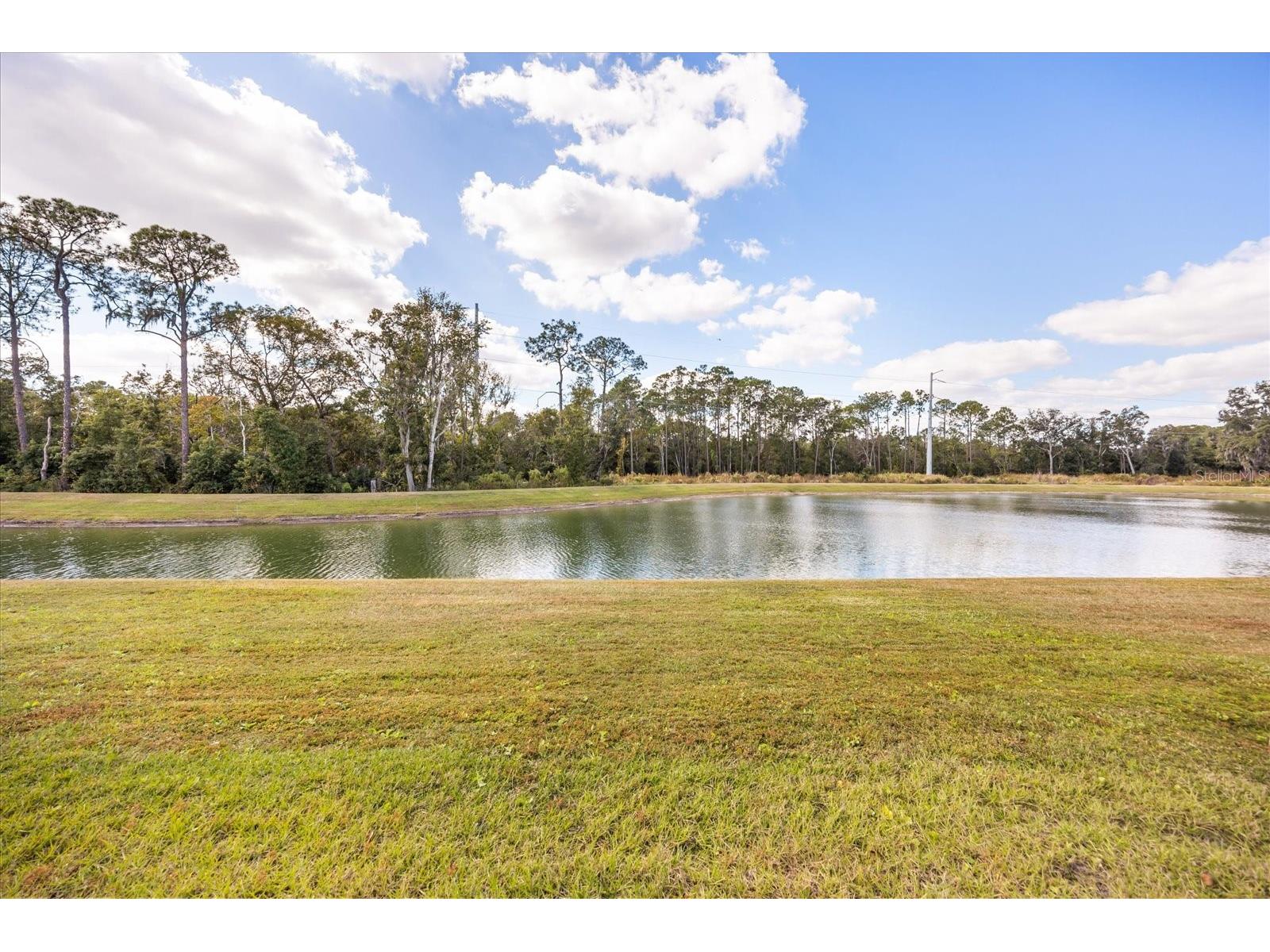 516 Carya Way Auburndale FL 33823 O6384707 image15