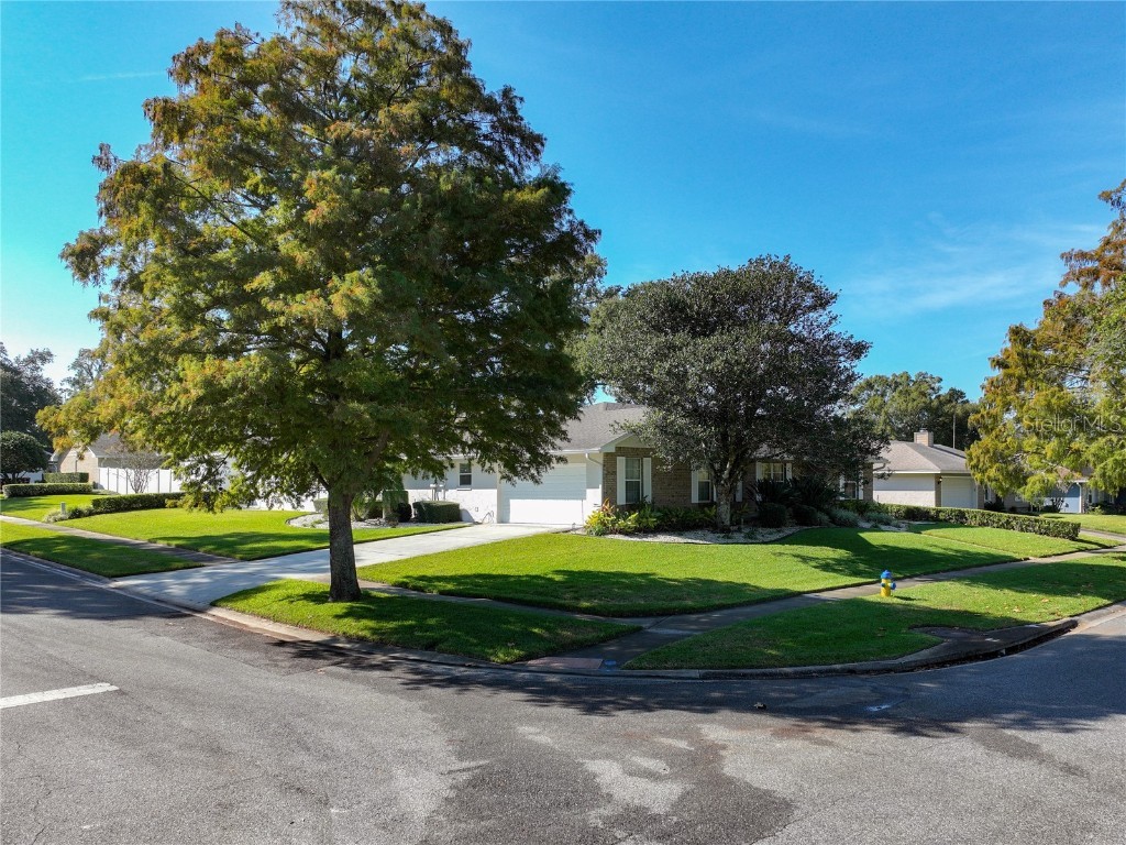 516 Fernwood Drive Altamonte Springs FL 32701 - LAKE ORIENTA O6361338 image49