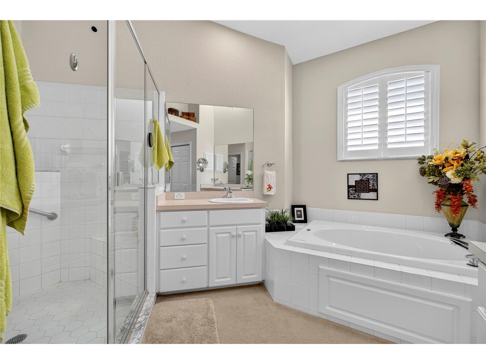 516 Grasslands Village Circle Lakeland FL 33803 P4936764 image33