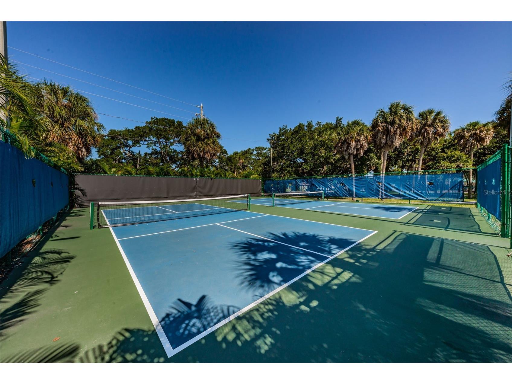516 Harbor Drive N Indian Rocks Beach FL 33785 TB8508298 image100