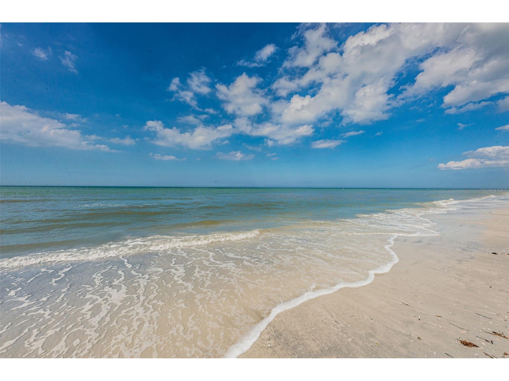 516 Harbor Drive N Indian Rocks Beach FL 33785 TB8508298 image97
