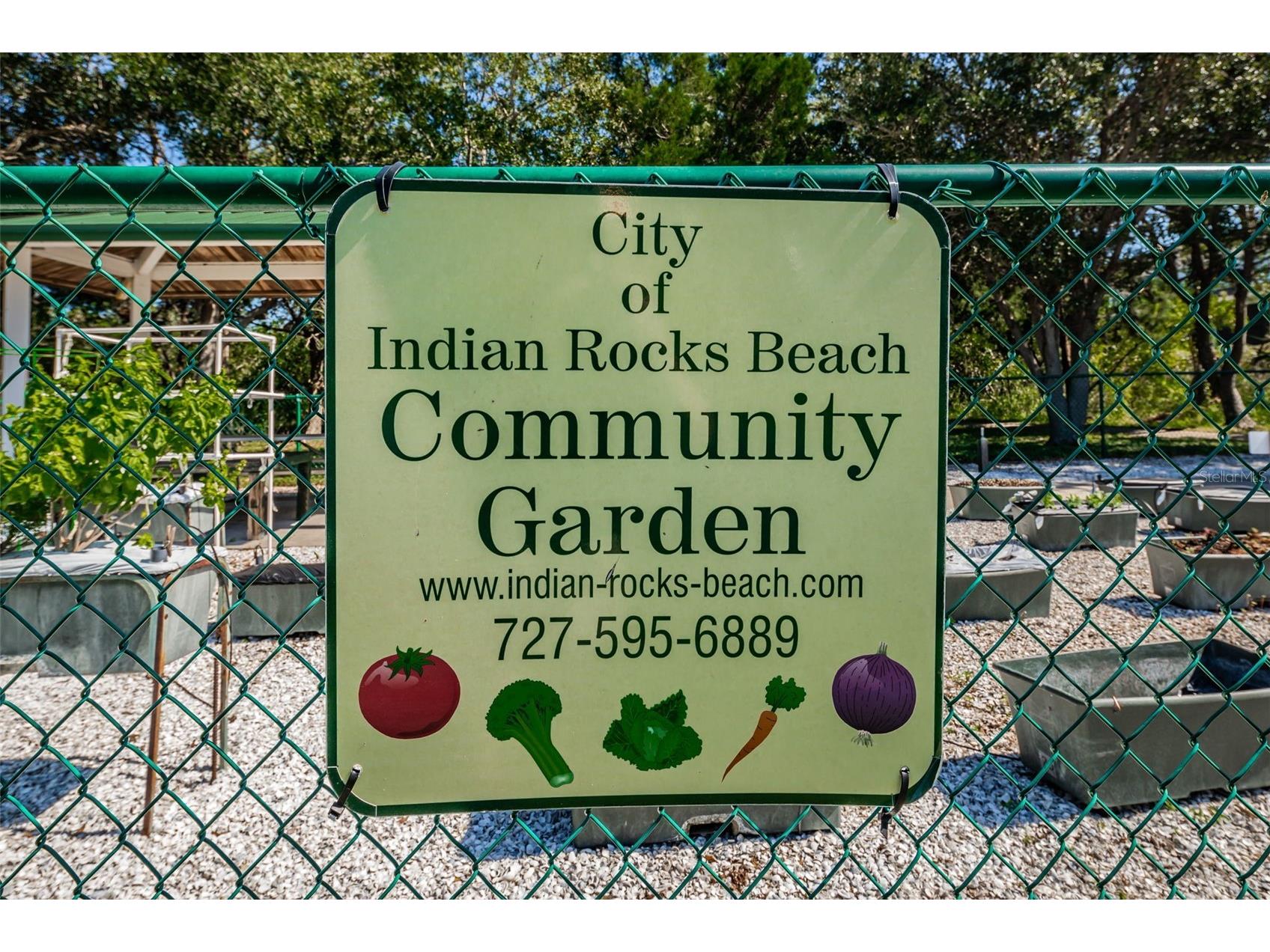 516 Harbor Drive N Indian Rocks Beach FL 33785 TB8508298 image99
