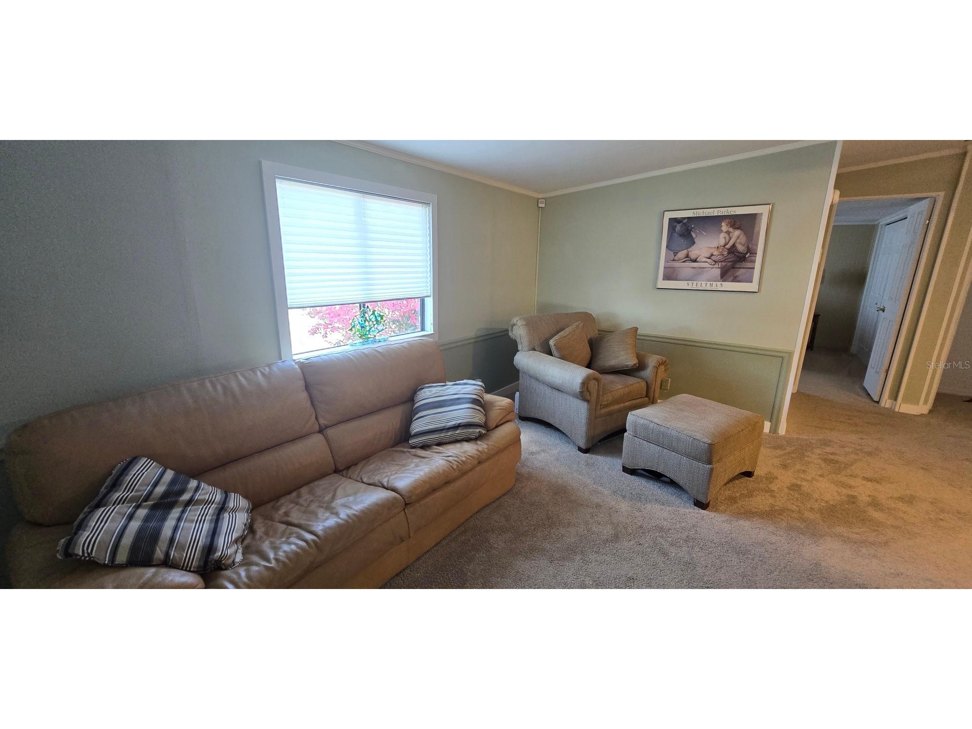 516 Jason Drive Lady Lake FL 32159 OM721091 image11