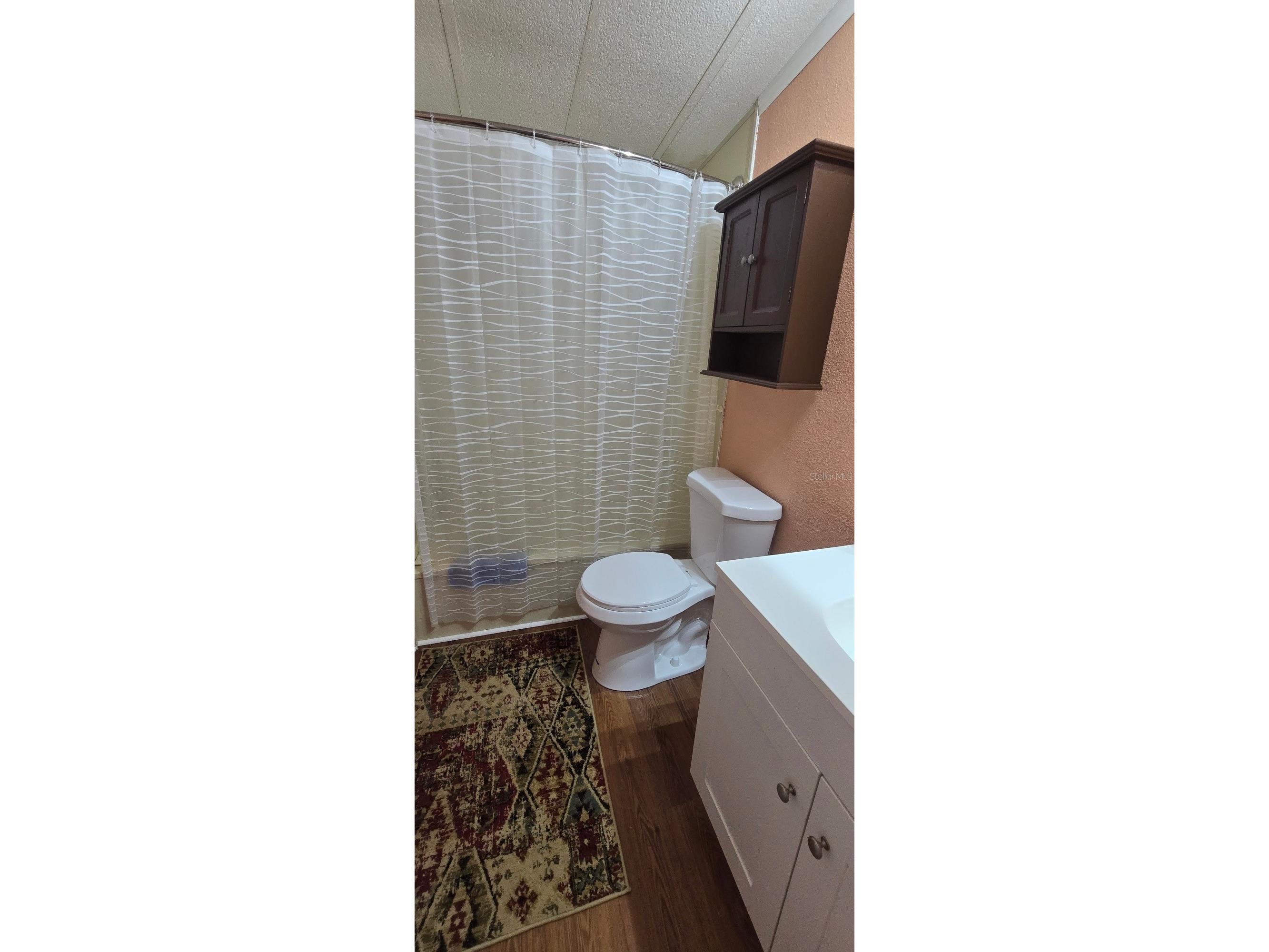 516 Jason Drive Lady Lake FL 32159 OM721091 image4