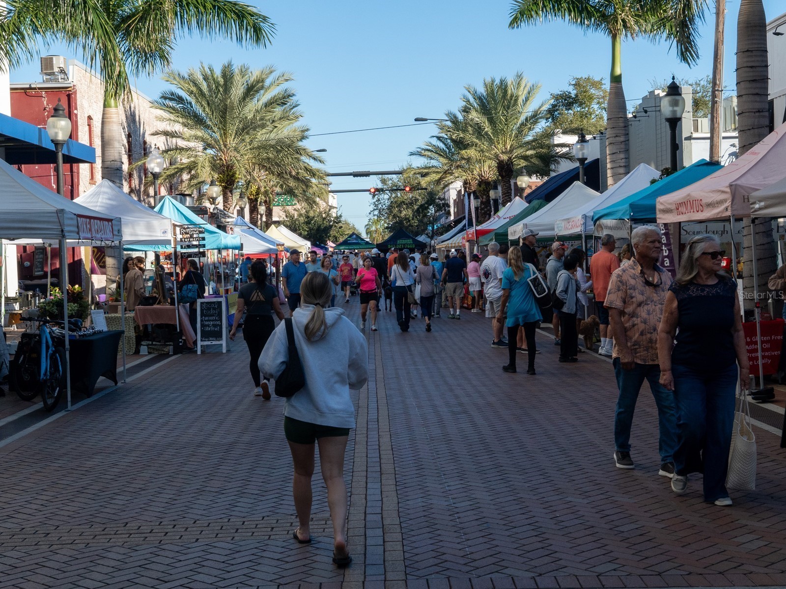 516 Laurel Park Drive Sarasota FL 34236 A4677304 image57