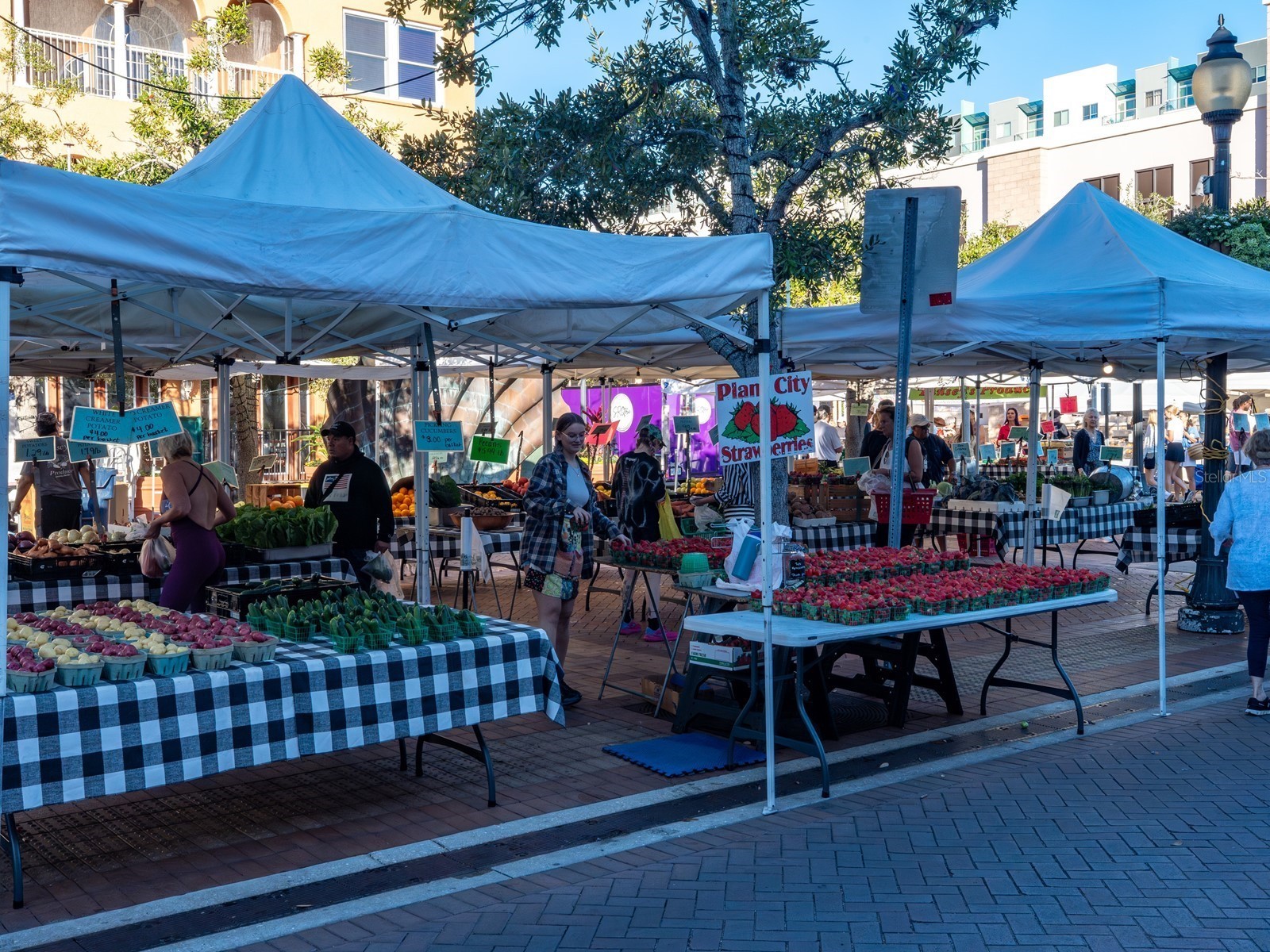 516 Laurel Park Drive Sarasota FL 34236 A4677304 image59