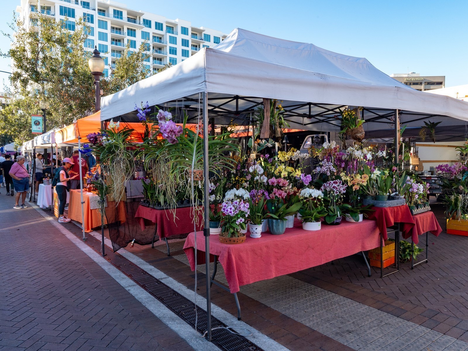 516 Laurel Park Drive Sarasota FL 34236 A4677304 image61