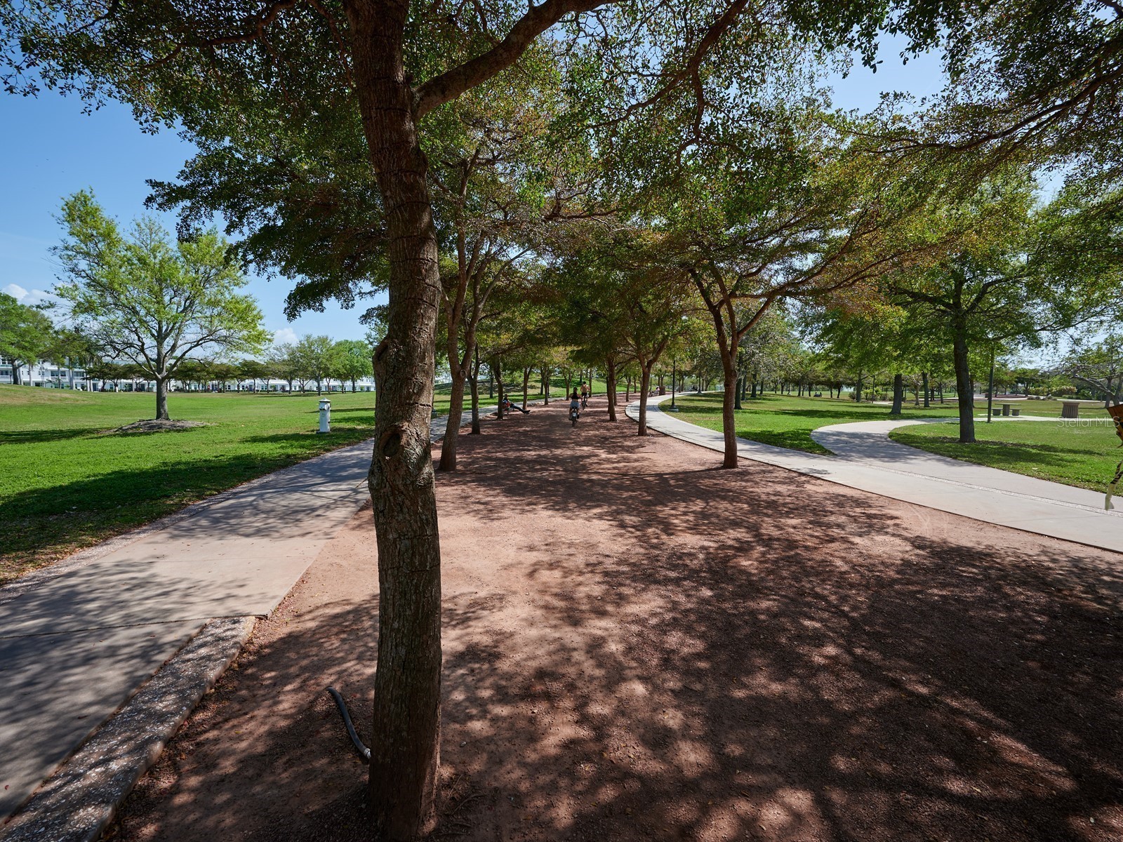 516 Laurel Park Drive Sarasota FL 34236 A4677304 image93