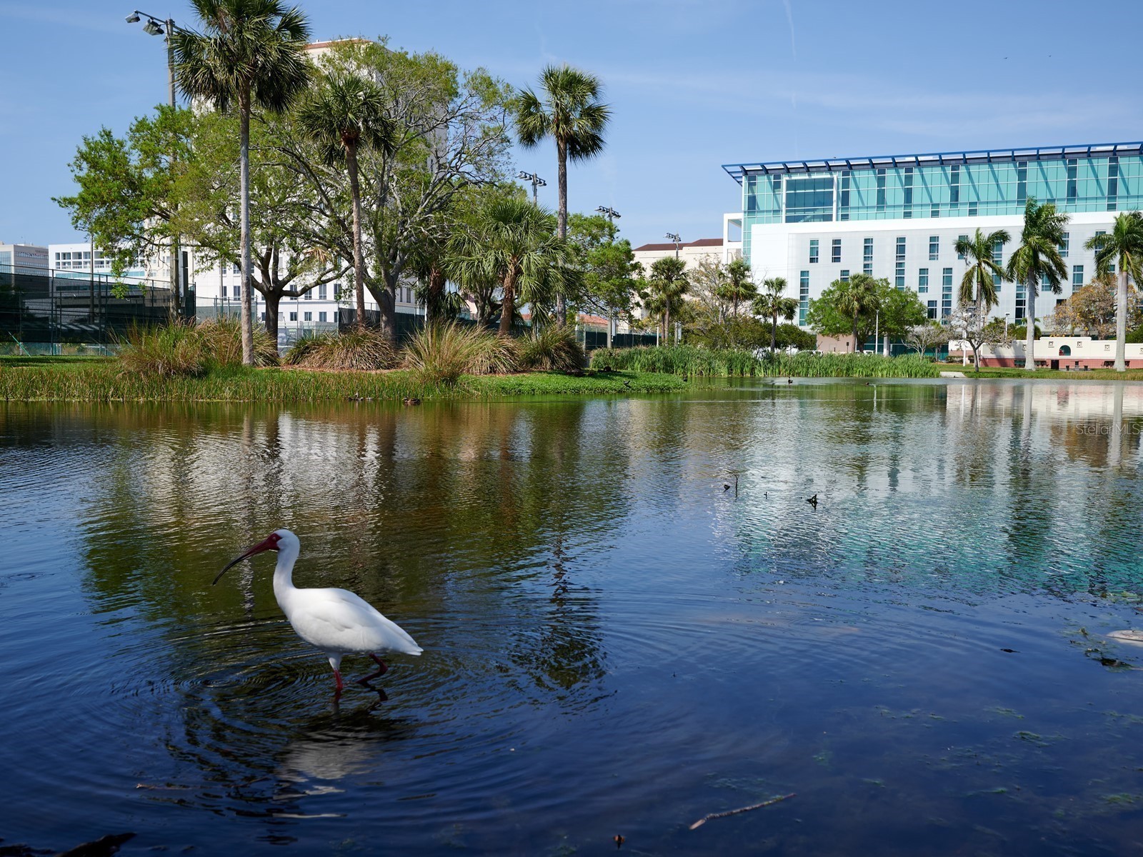 516 Laurel Park Drive Sarasota FL 34236 A4677304 image98