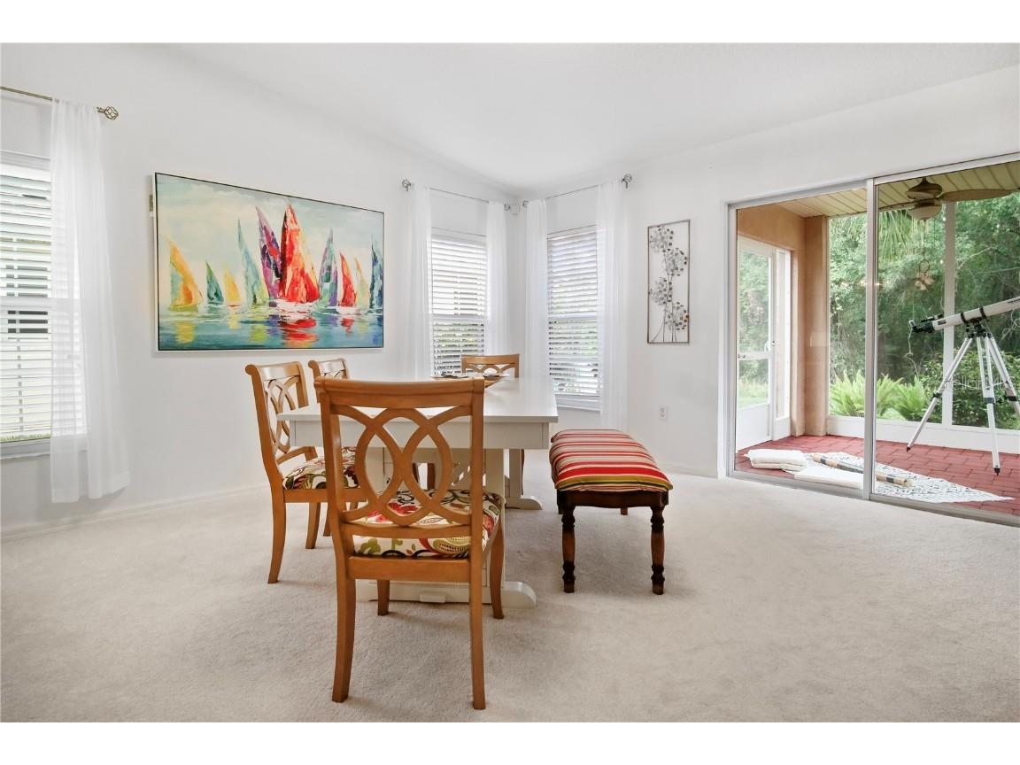 516 Millifiora Lane Kissimmee FL 34759 S5128269 image13