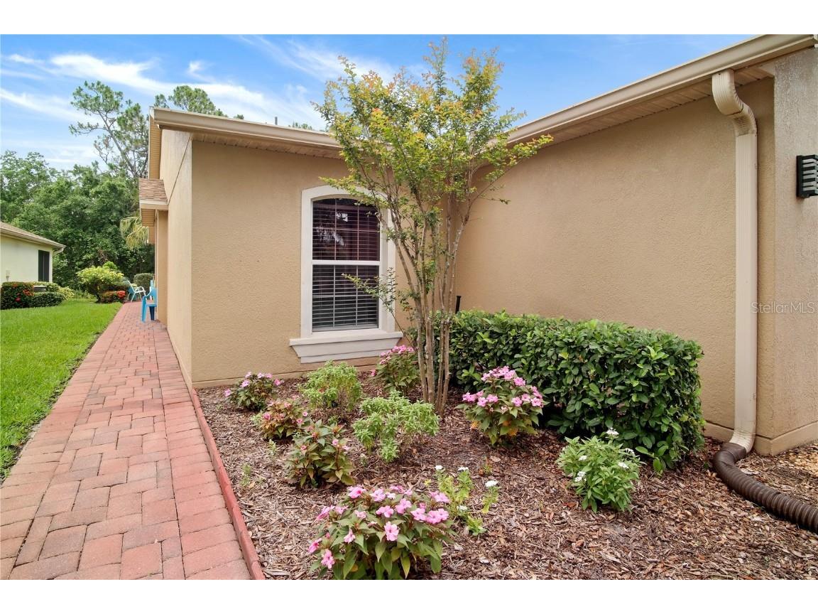 516 Millifiora Lane Kissimmee FL 34759 S5128269 image3