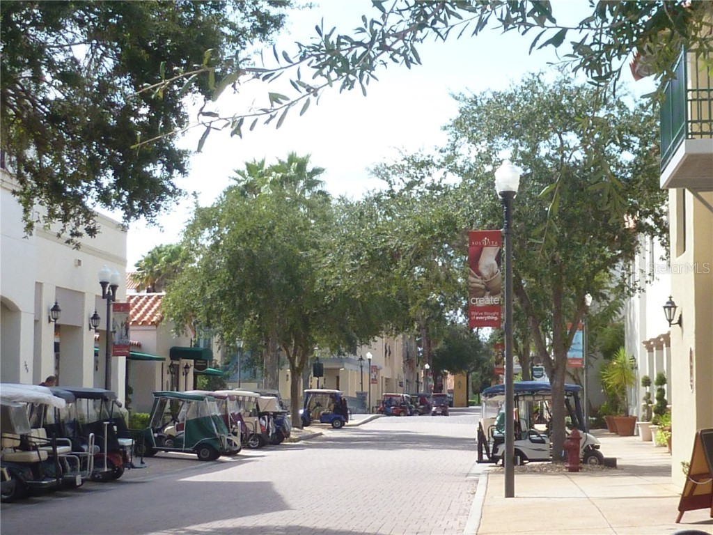 516 Millifiora Lane Kissimmee FL 34759 S5128269 image36