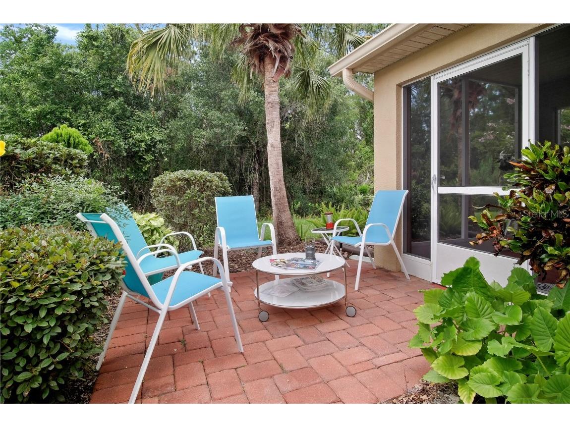 516 Millifiora Lane Kissimmee FL 34759 S5128269 image5