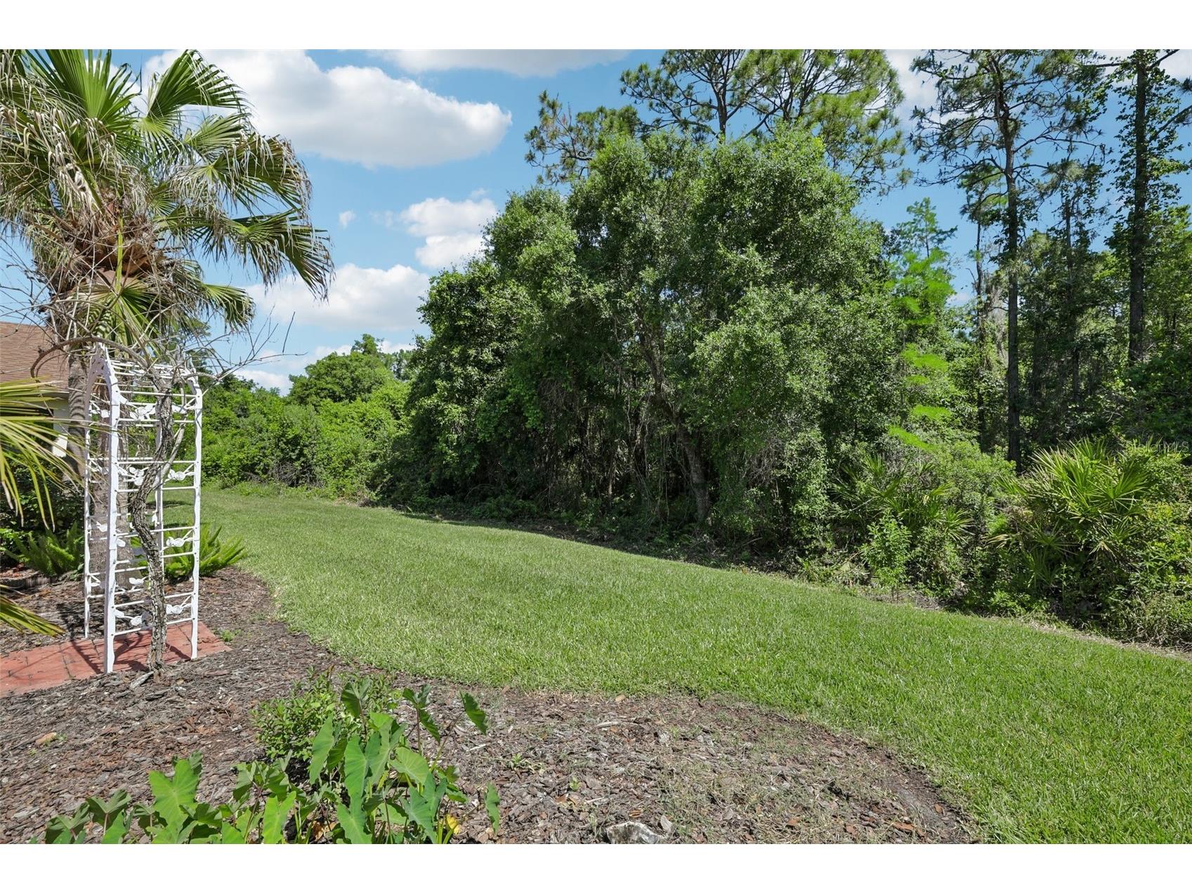 516 Millifiora Lane Poinciana FL 34759 P4938561 image41