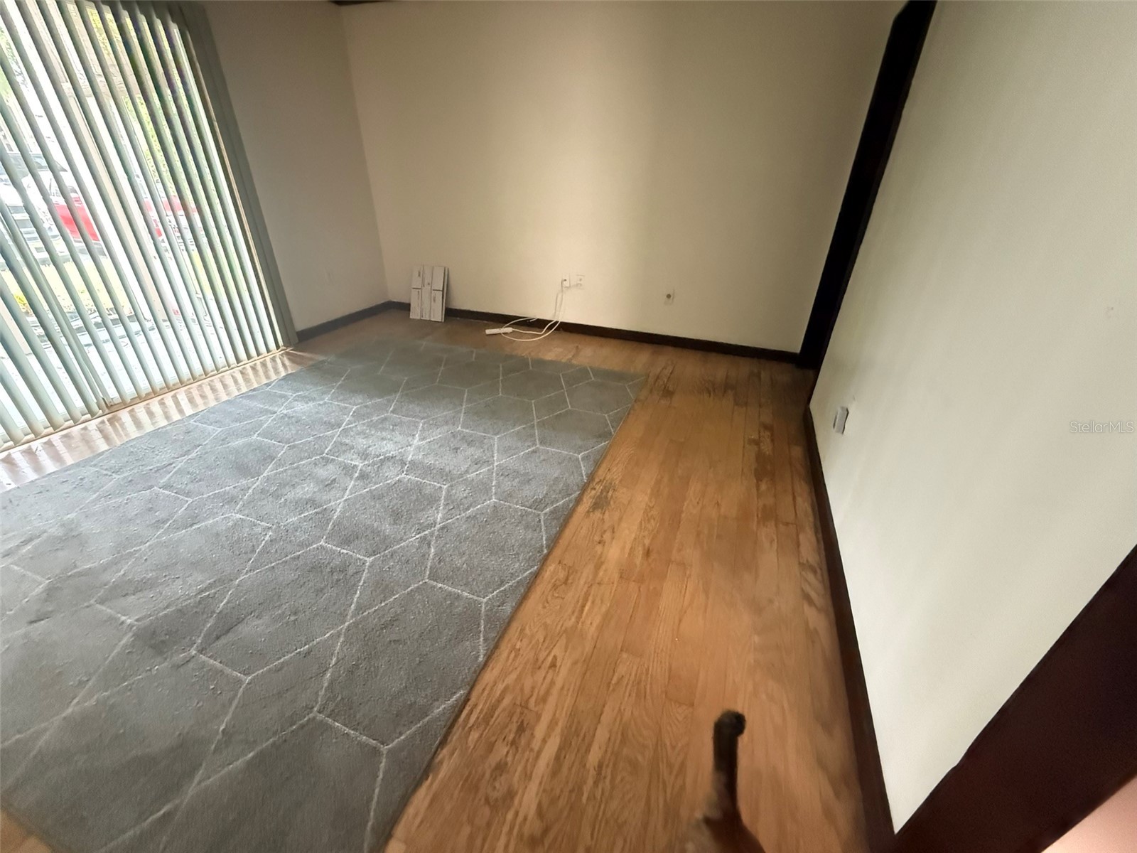 516 Orange Drive #20 Altamonte Springs FL 32701 O6390696 image4