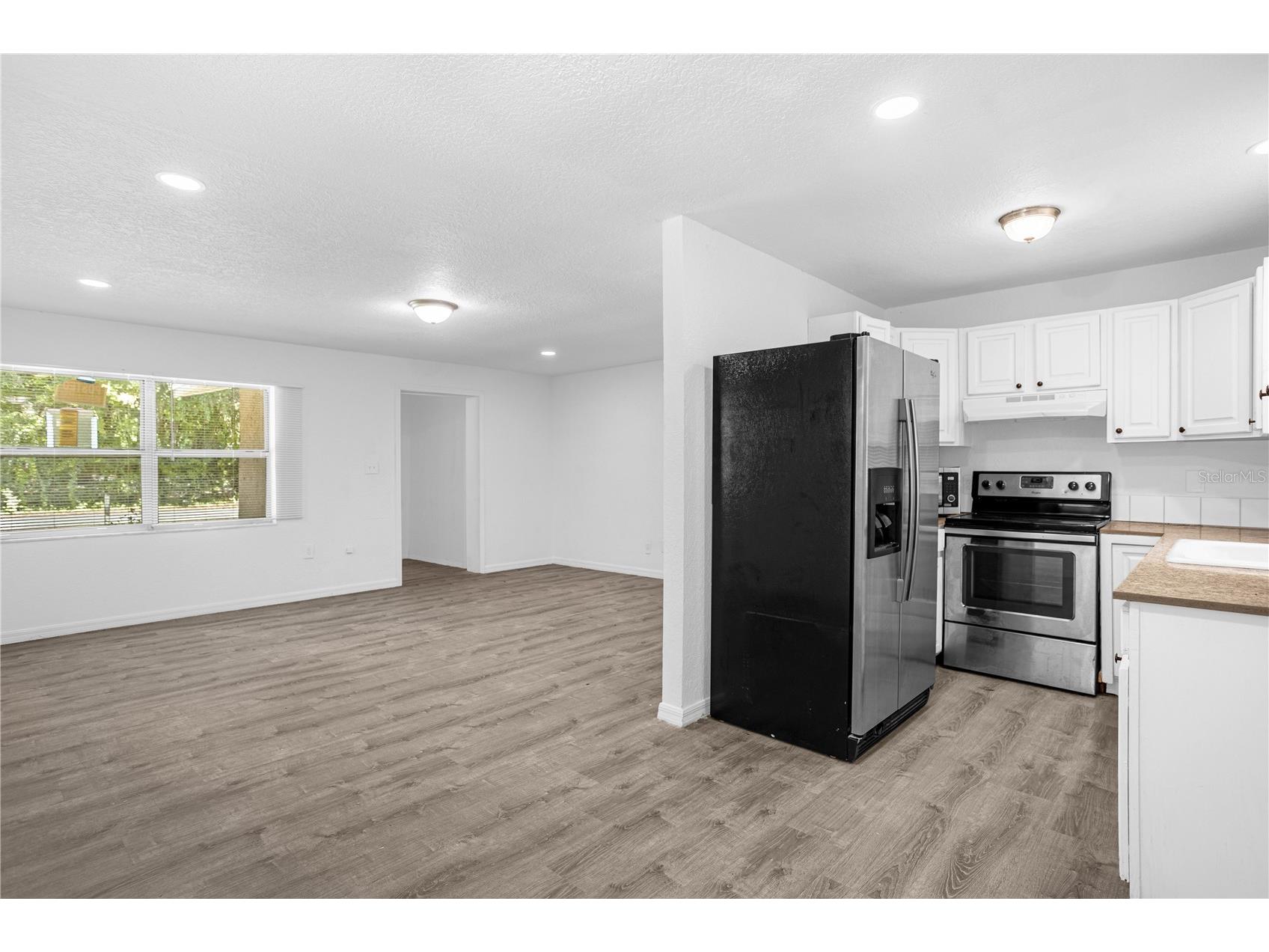 516 Pitt Street Wildwood FL 34785 O6398385 image3