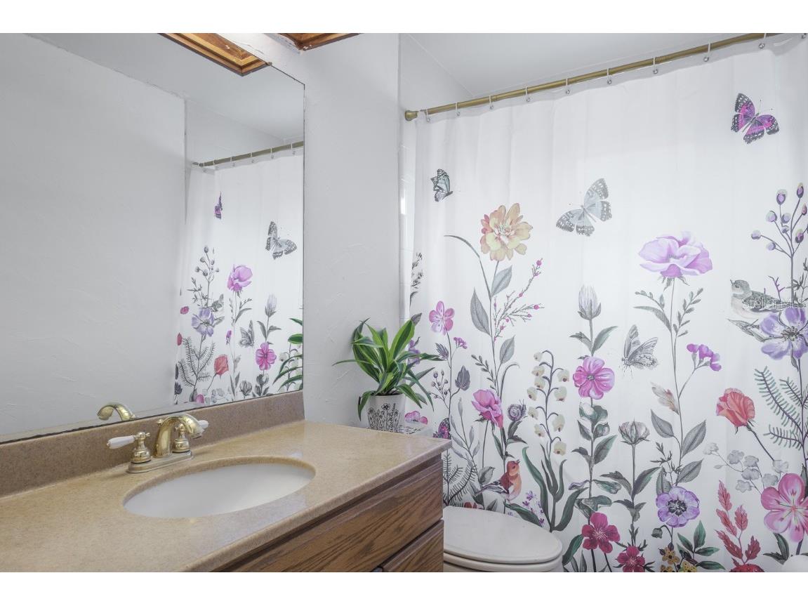 516 Rapid Falls Drive Brandon FL 33511 TB8447912 image15