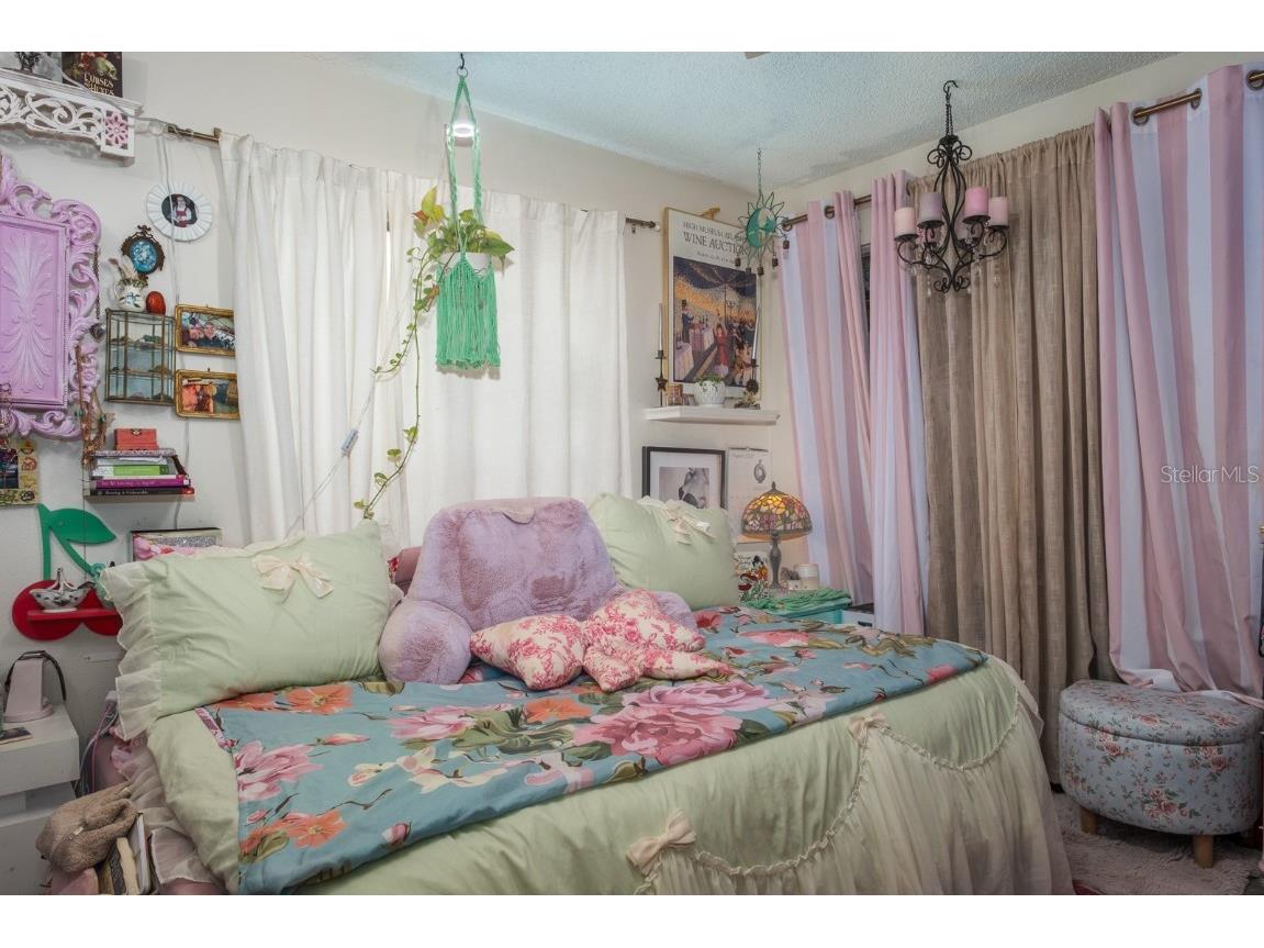 516 Rapid Falls Drive Brandon FL 33511 TB8447912 image16