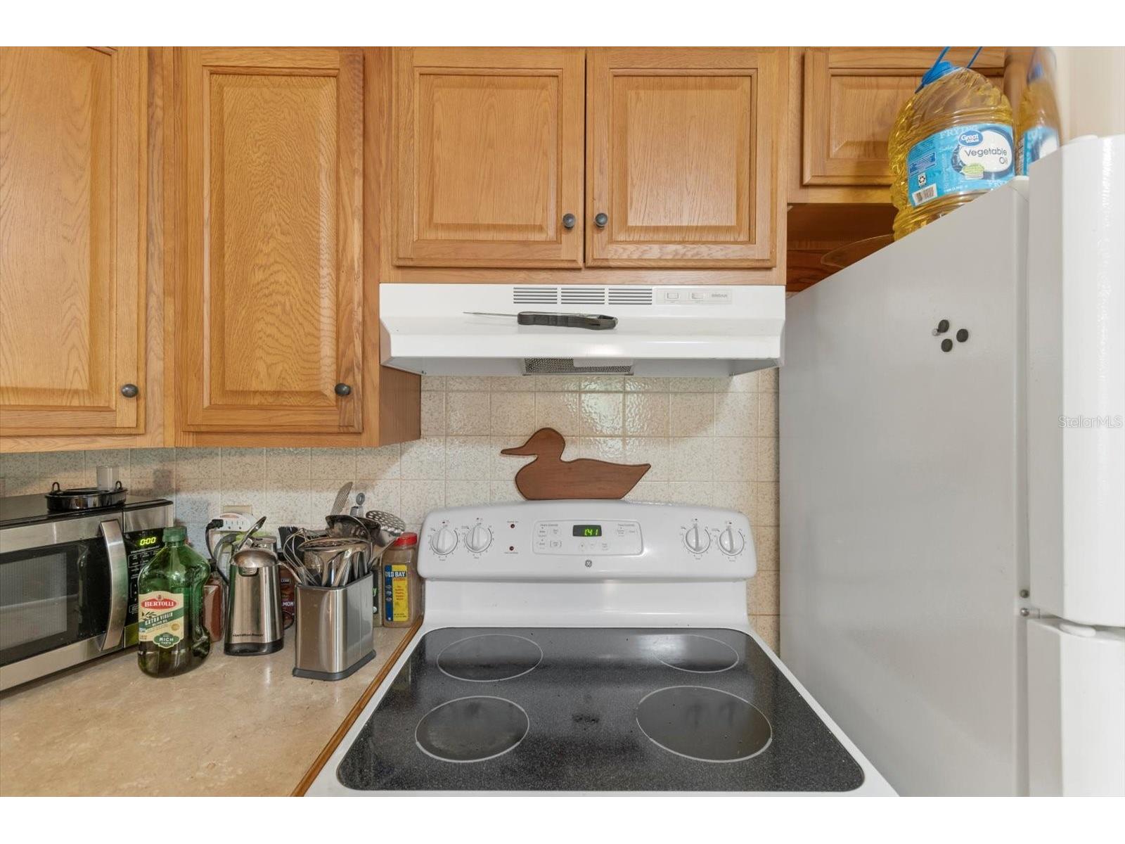 516 S Tuck Point Inverness FL 34450 - CANAL / WITHLACOOCHEE RIVER TB8411867 image16