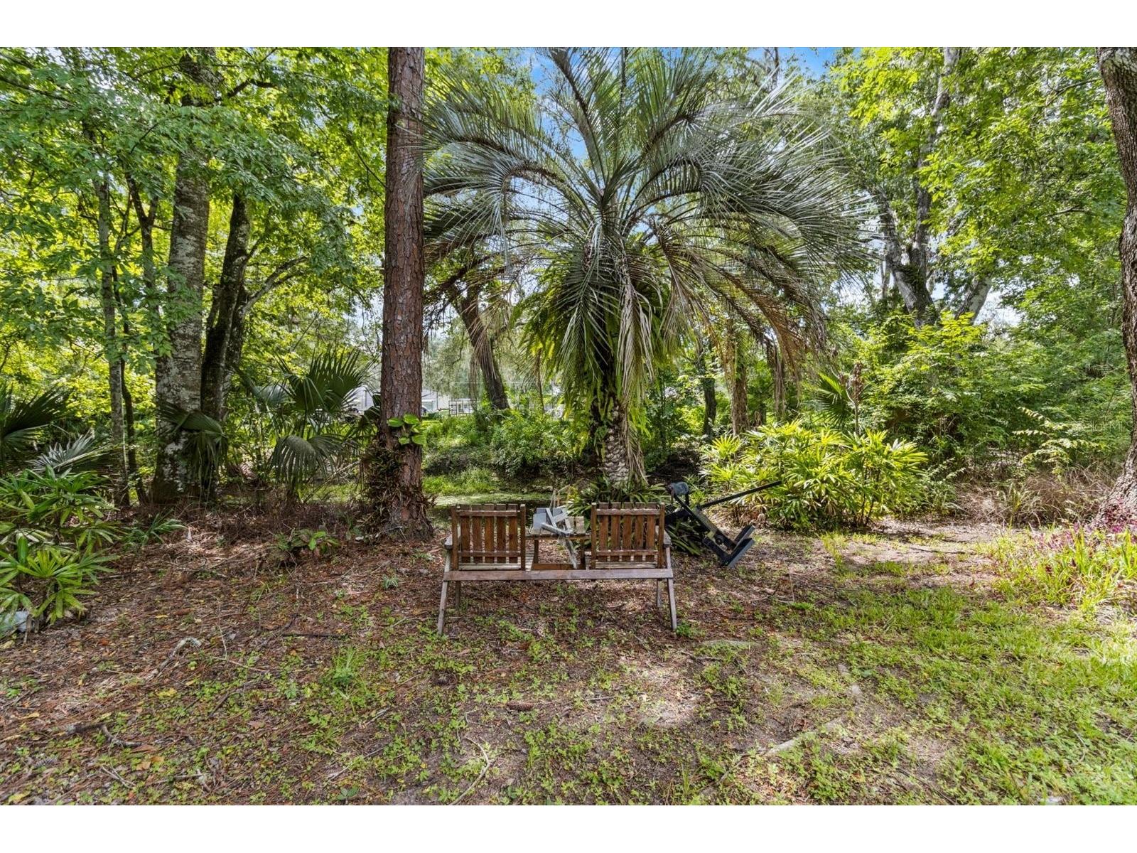 516 S Tuck Point Inverness FL 34450 - CANAL / WITHLACOOCHEE RIVER TB8411867 image30