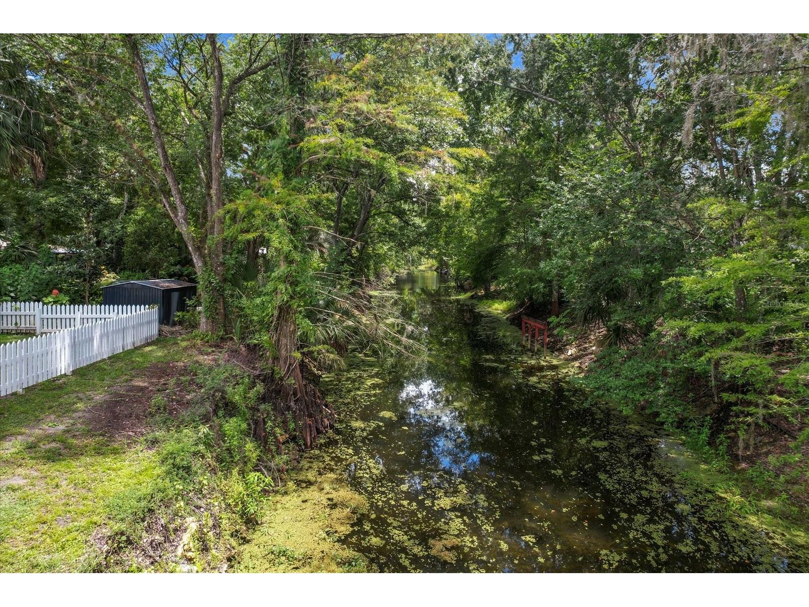 516 S Tuck Point Inverness FL 34450 - CANAL / WITHLACOOCHEE RIVER TB8411867 image32