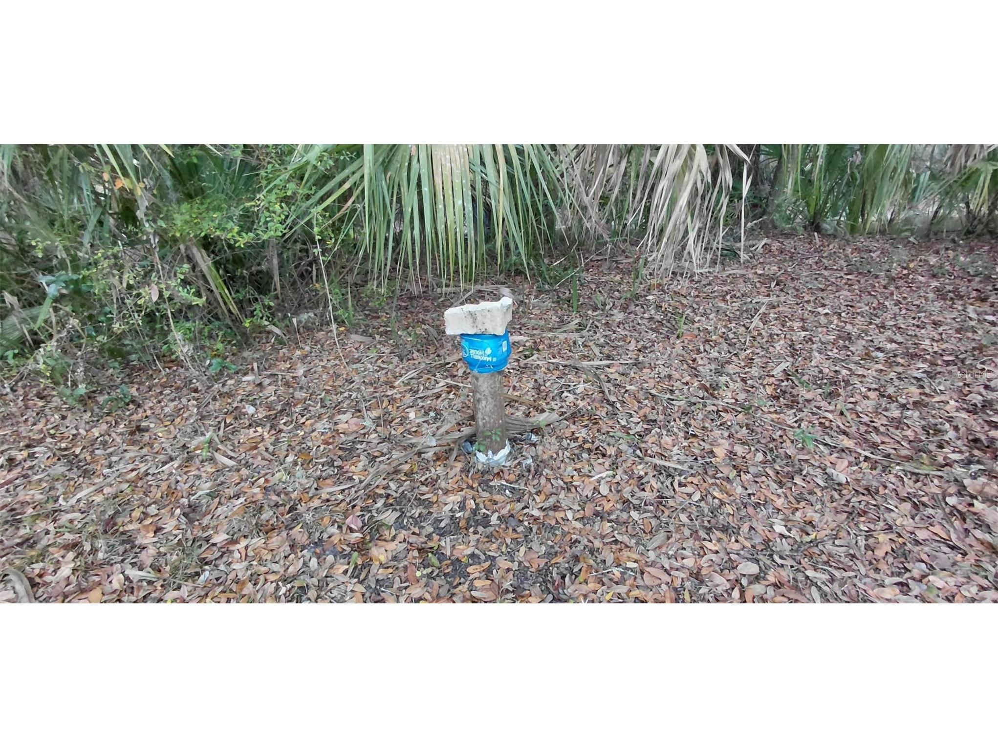 516 S Tuck Point Inverness FL 34450 - CANAL / WITHLACOOCHEE RIVER TB8411867 image37