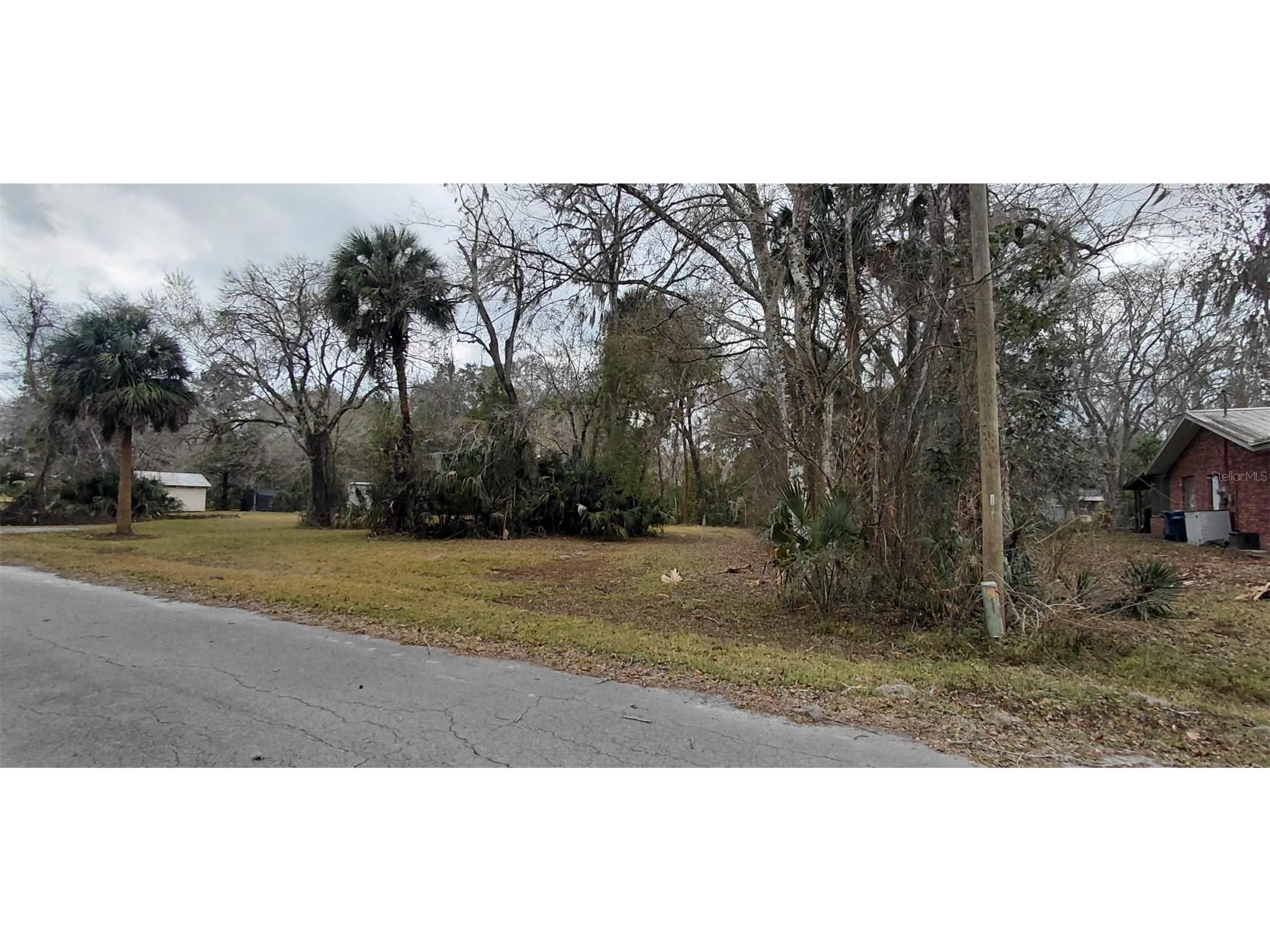 516 S Tuck Point Inverness FL 34450 - CANAL / WITHLACOOCHEE RIVER TB8411867 image38