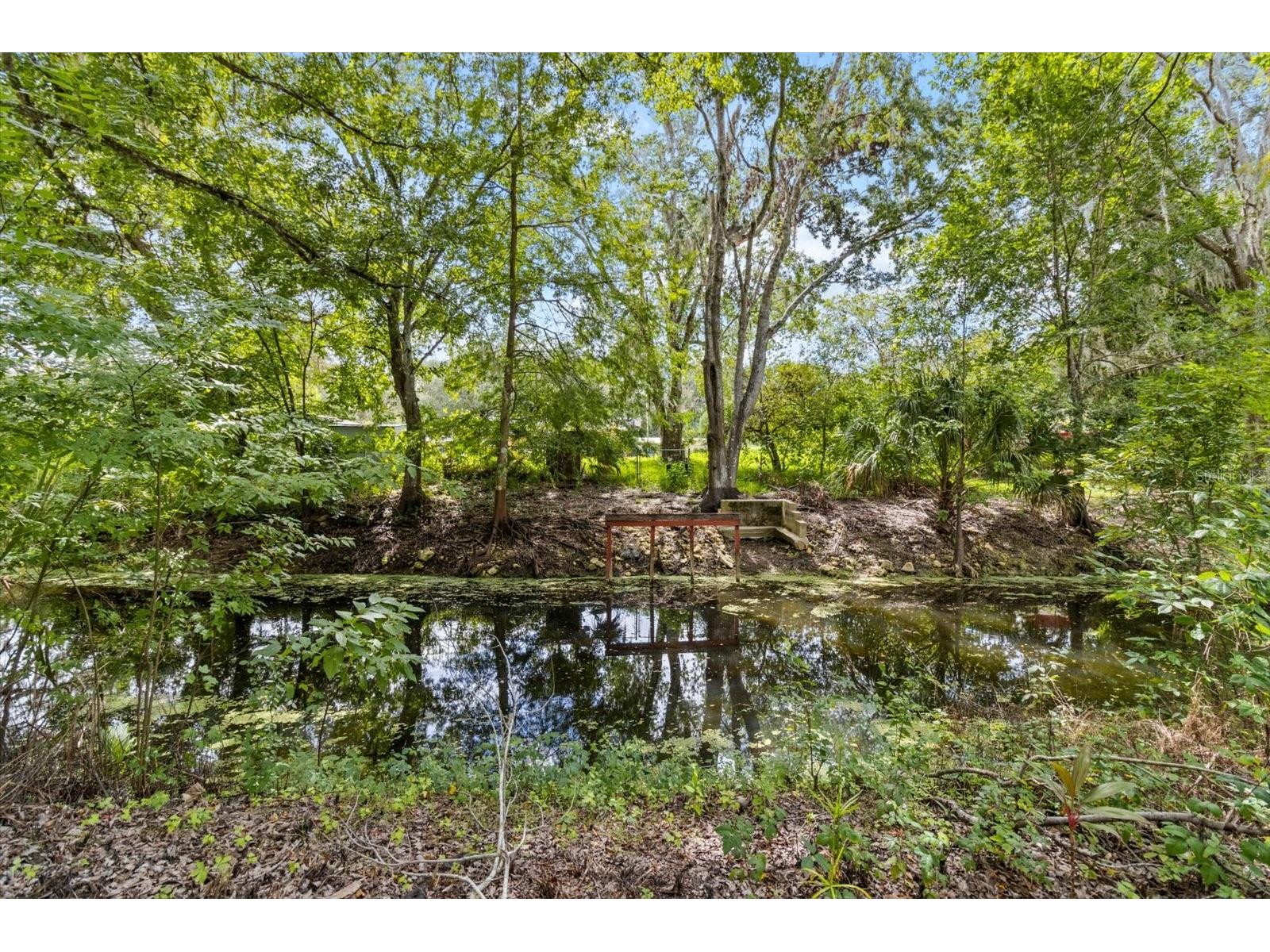 516 S Tuck Point Inverness FL 34450 - CANAL / WITHLACOOCHEE RIVER TB8411867 image4
