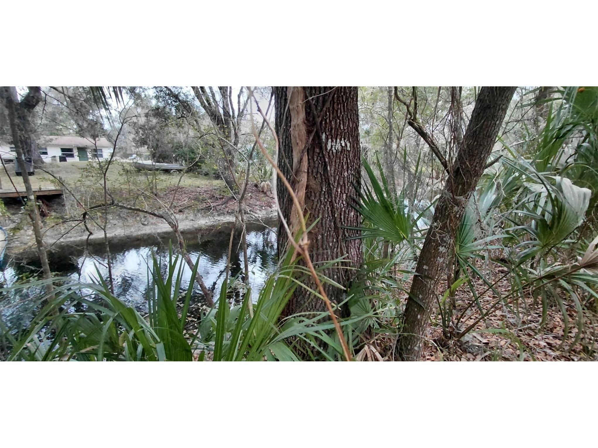 516 S Tuck Point Inverness FL 34450 - CANAL / WITHLACOOCHEE RIVER TB8411867 image40