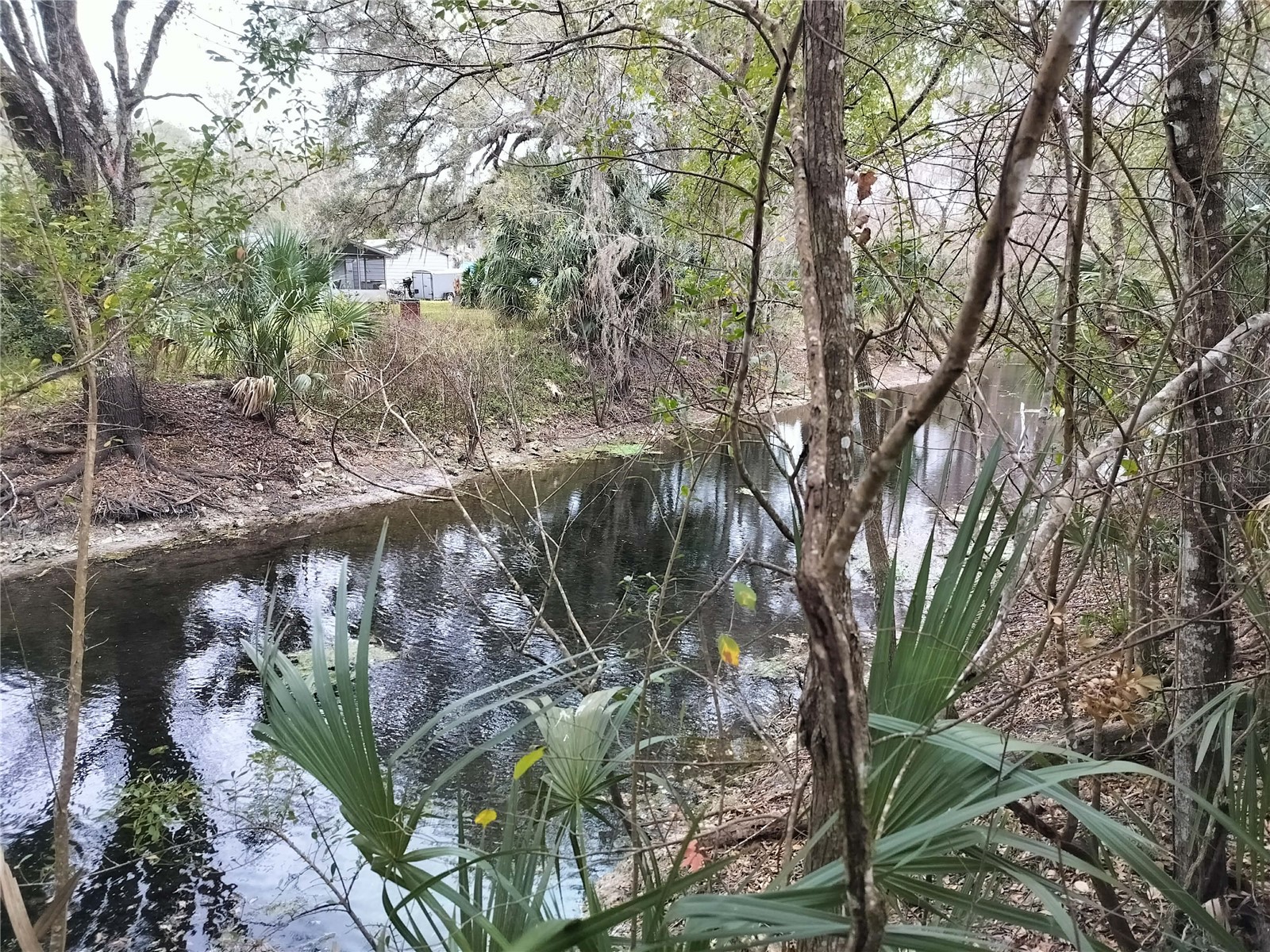 516 S Tuck Point Inverness FL 34450 - CANAL / WITHLACOOCHEE RIVER TB8411867 image41