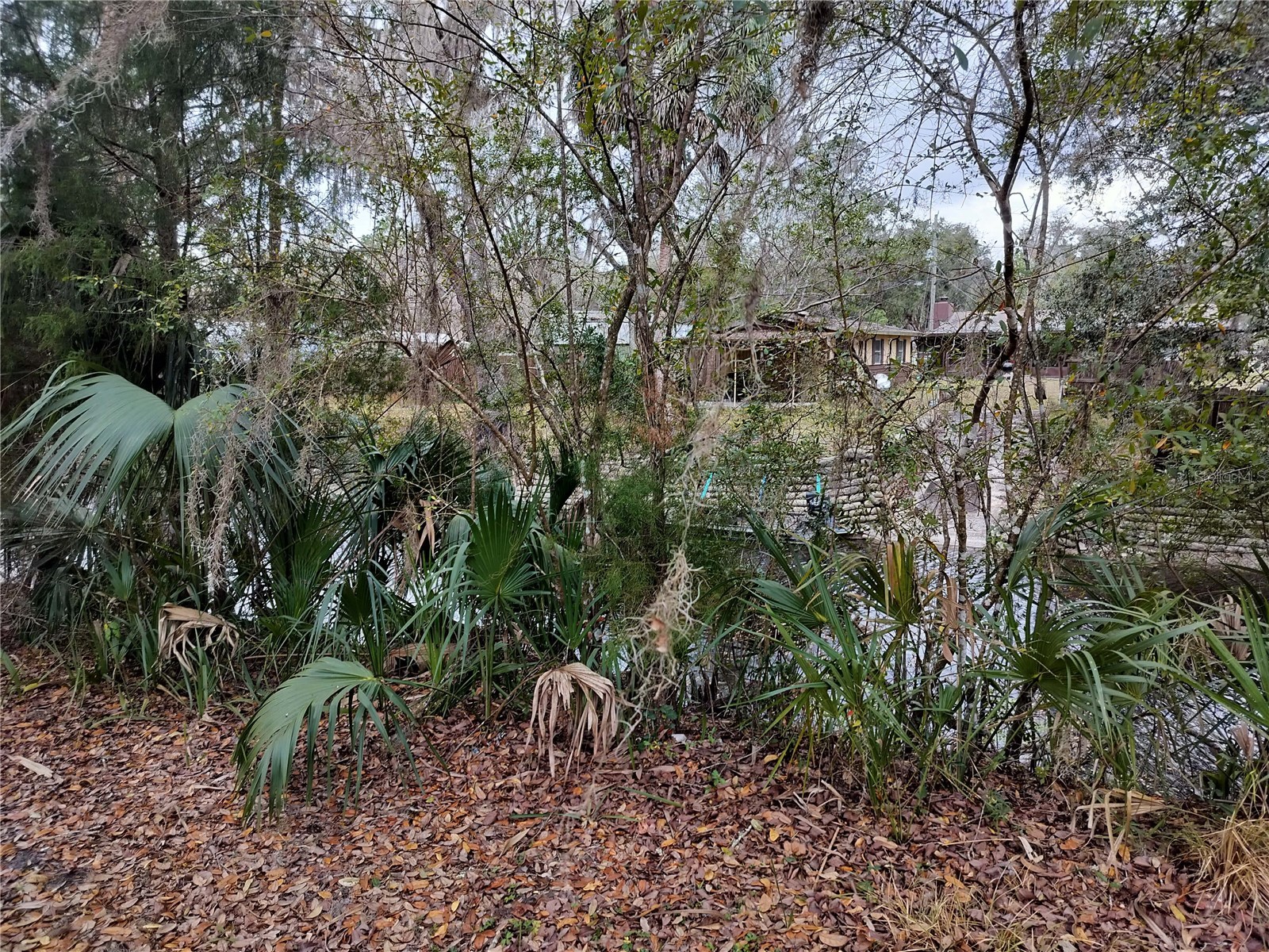 516 S Tuck Point Inverness FL 34450 - CANAL / WITHLACOOCHEE RIVER TB8411867 image42