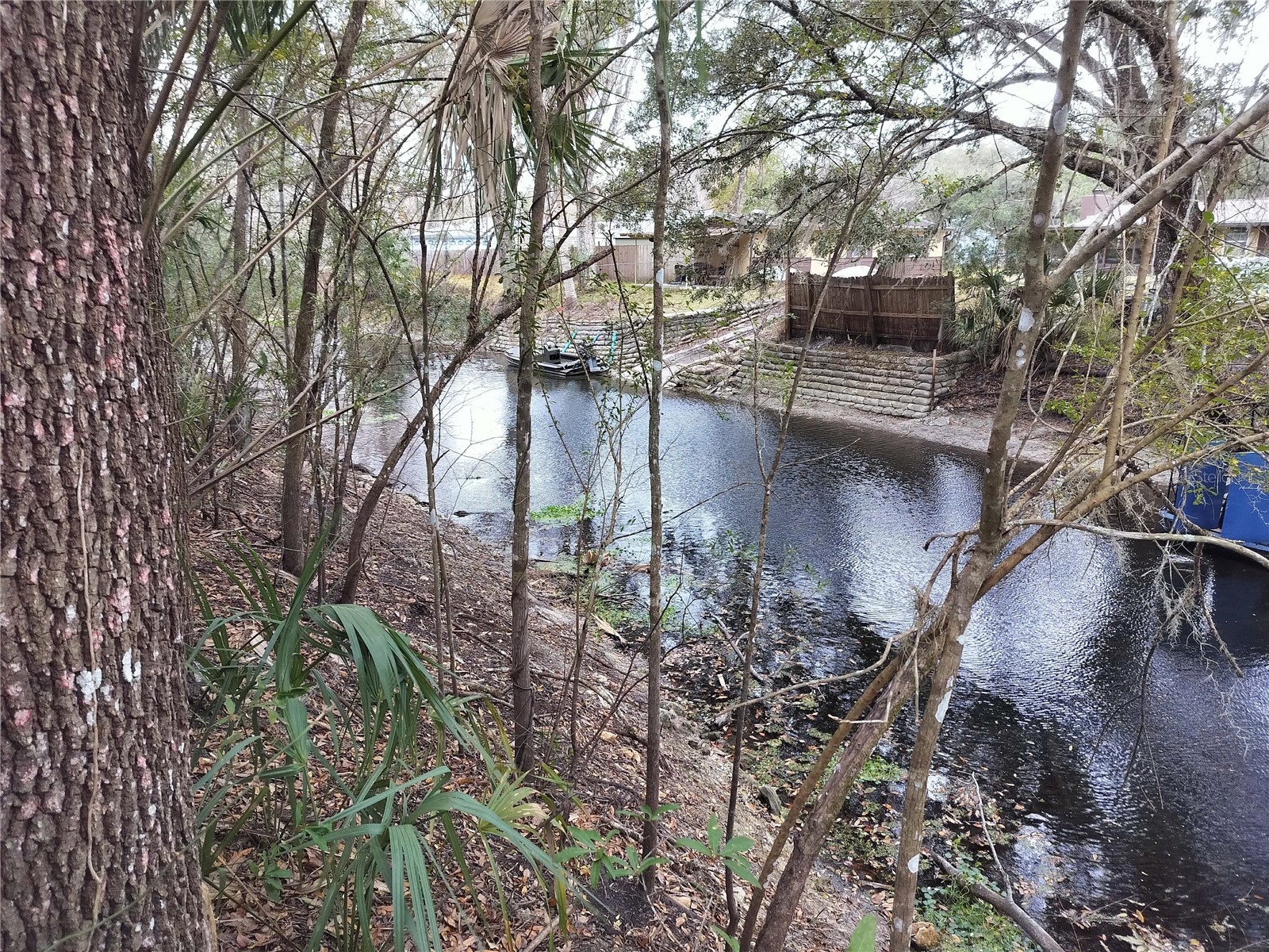 516 S Tuck Point Inverness FL 34450 - CANAL / WITHLACOOCHEE RIVER TB8411867 image43