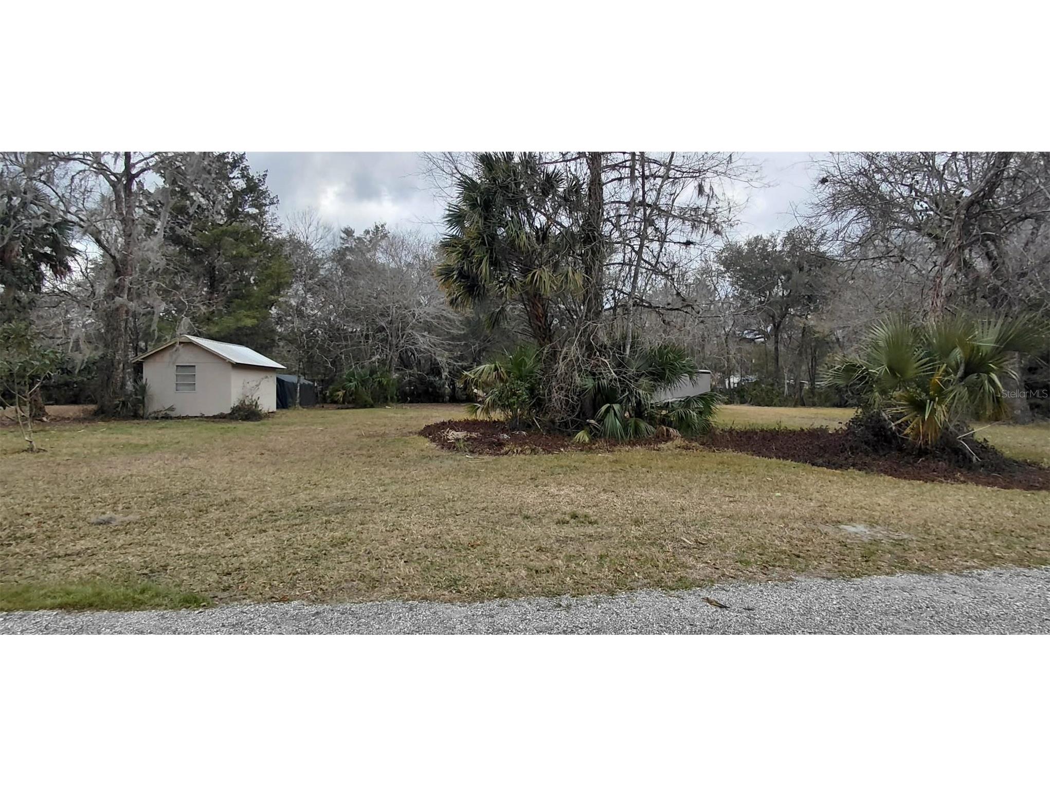 516 S Tuck Point Inverness FL 34450 - CANAL / WITHLACOOCHEE RIVER TB8411867 image47