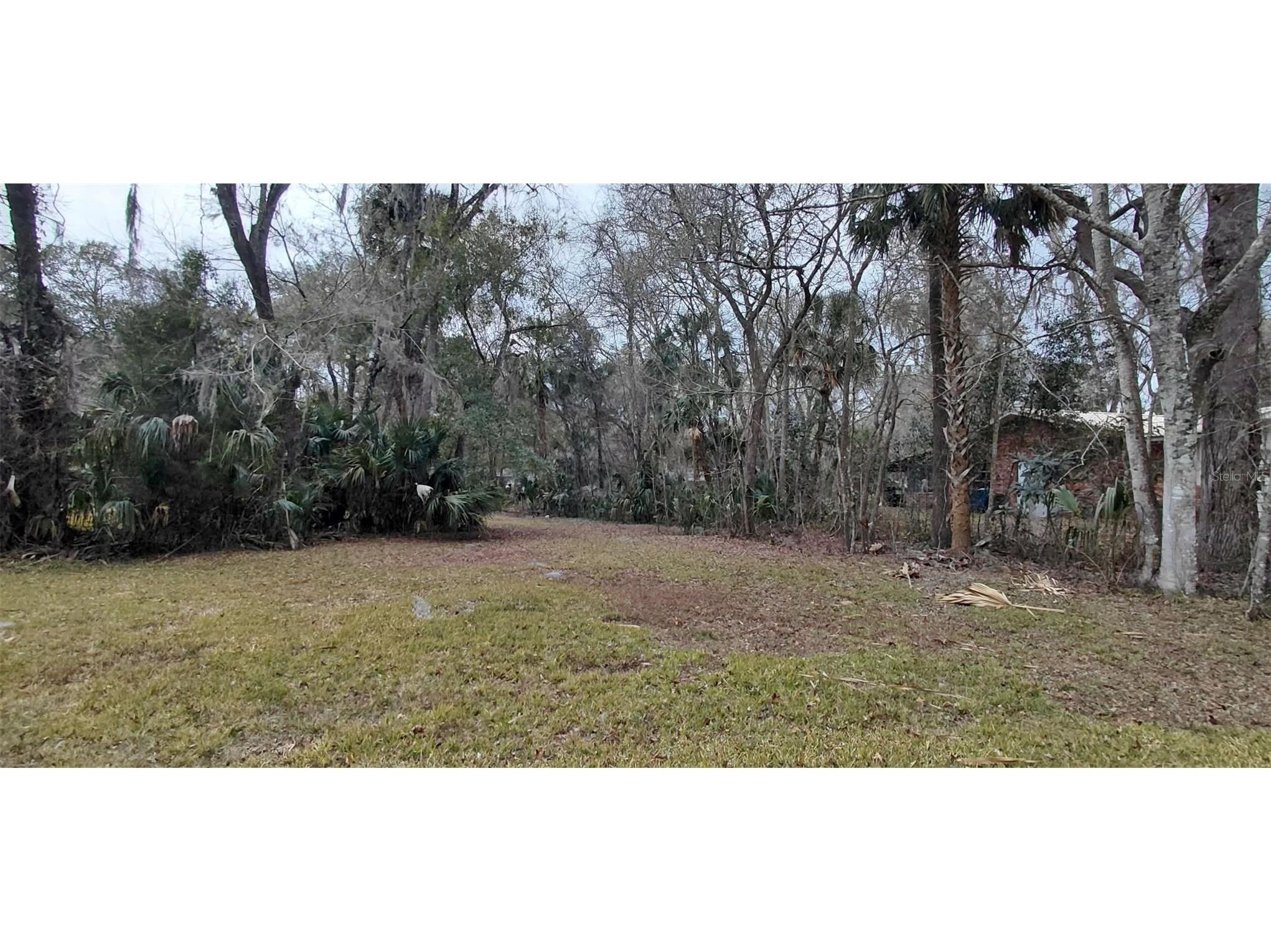 516 S Tuck Point Inverness FL 34450 - CANAL / WITHLACOOCHEE RIVER TB8411867 image49