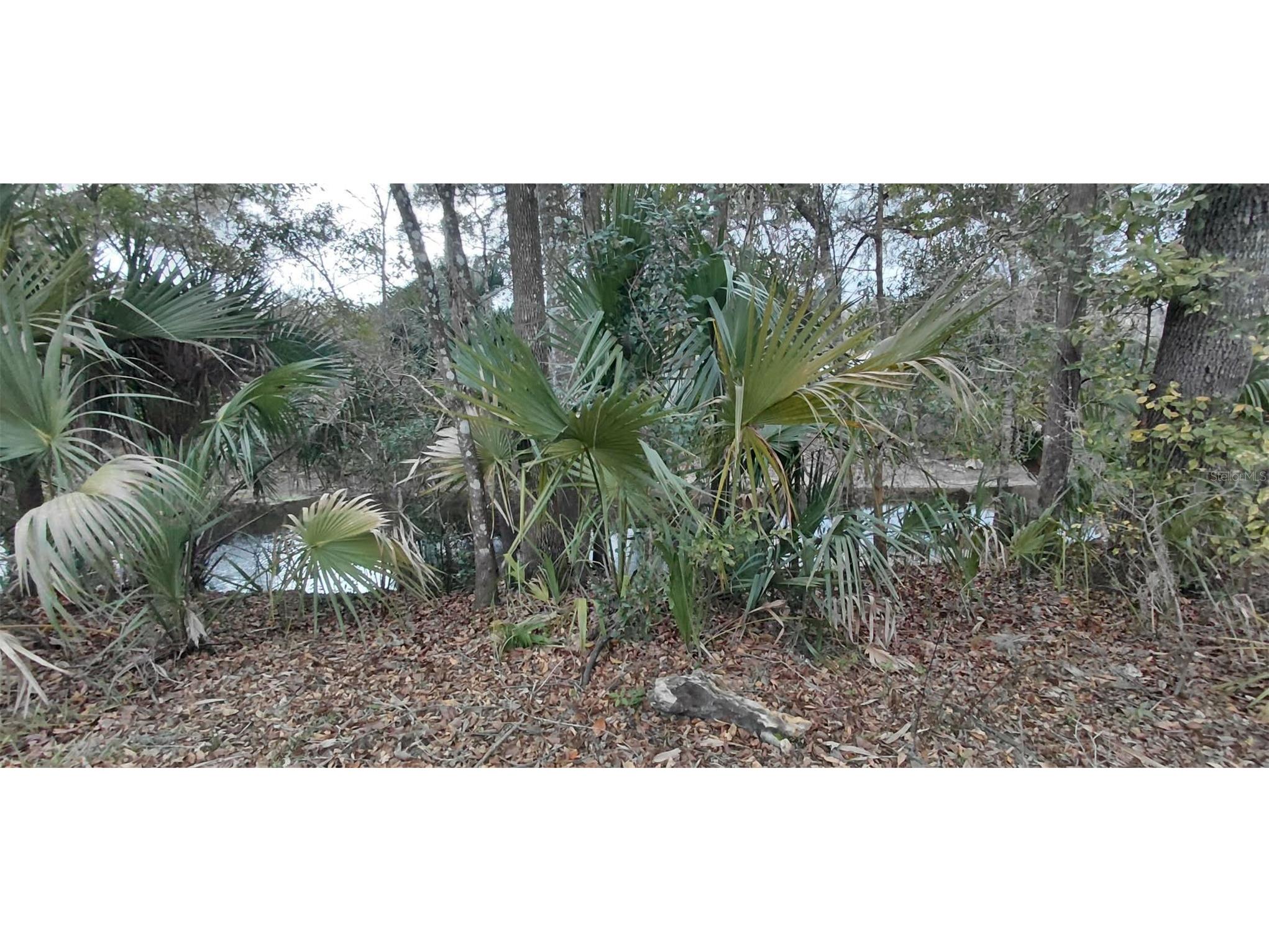 516 S Tuck Point Inverness FL 34450 - CANAL / WITHLACOOCHEE RIVER TB8411867 image51