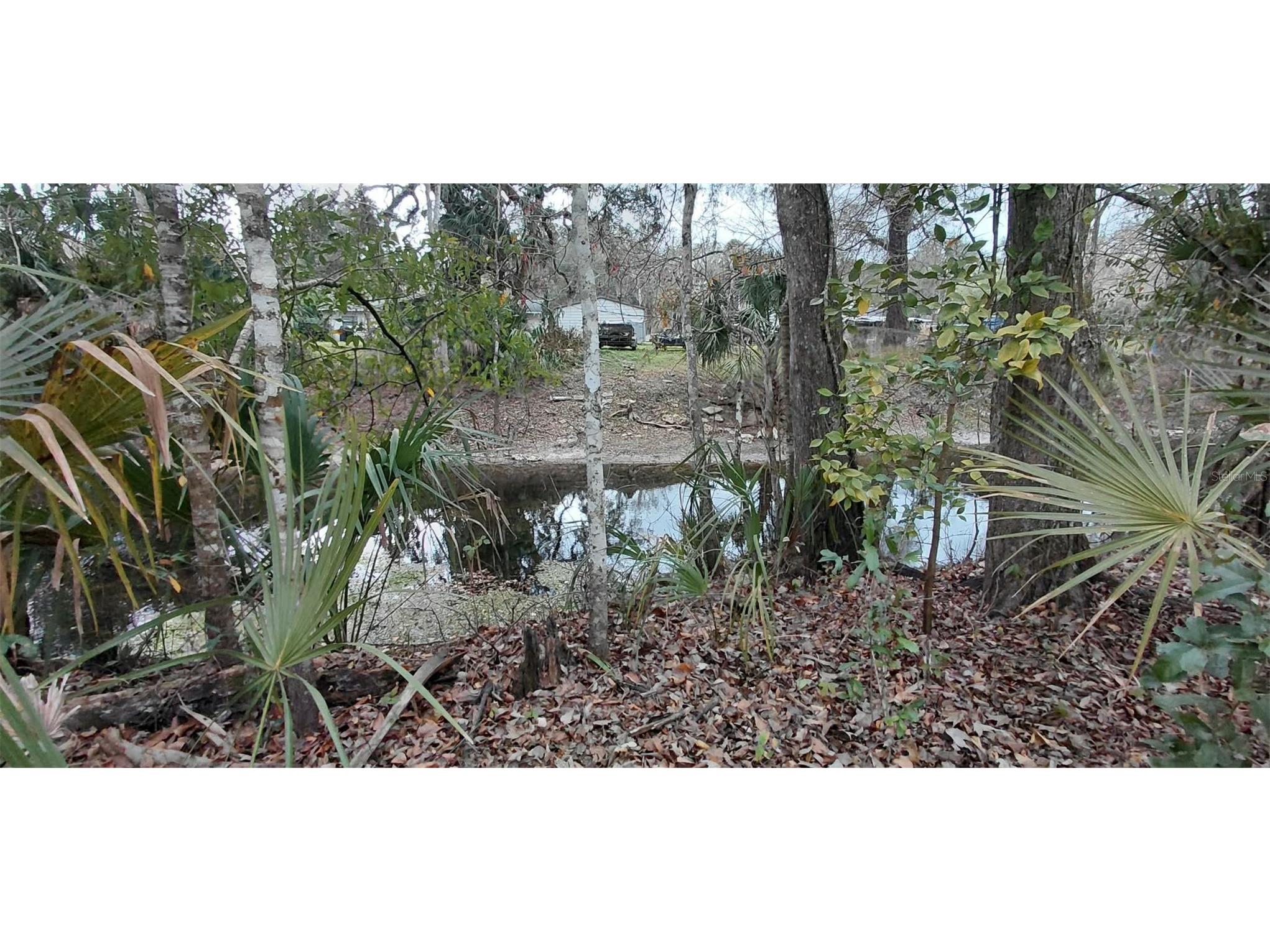 516 S Tuck Point Inverness FL 34450 - CANAL / WITHLACOOCHEE RIVER TB8411867 image52