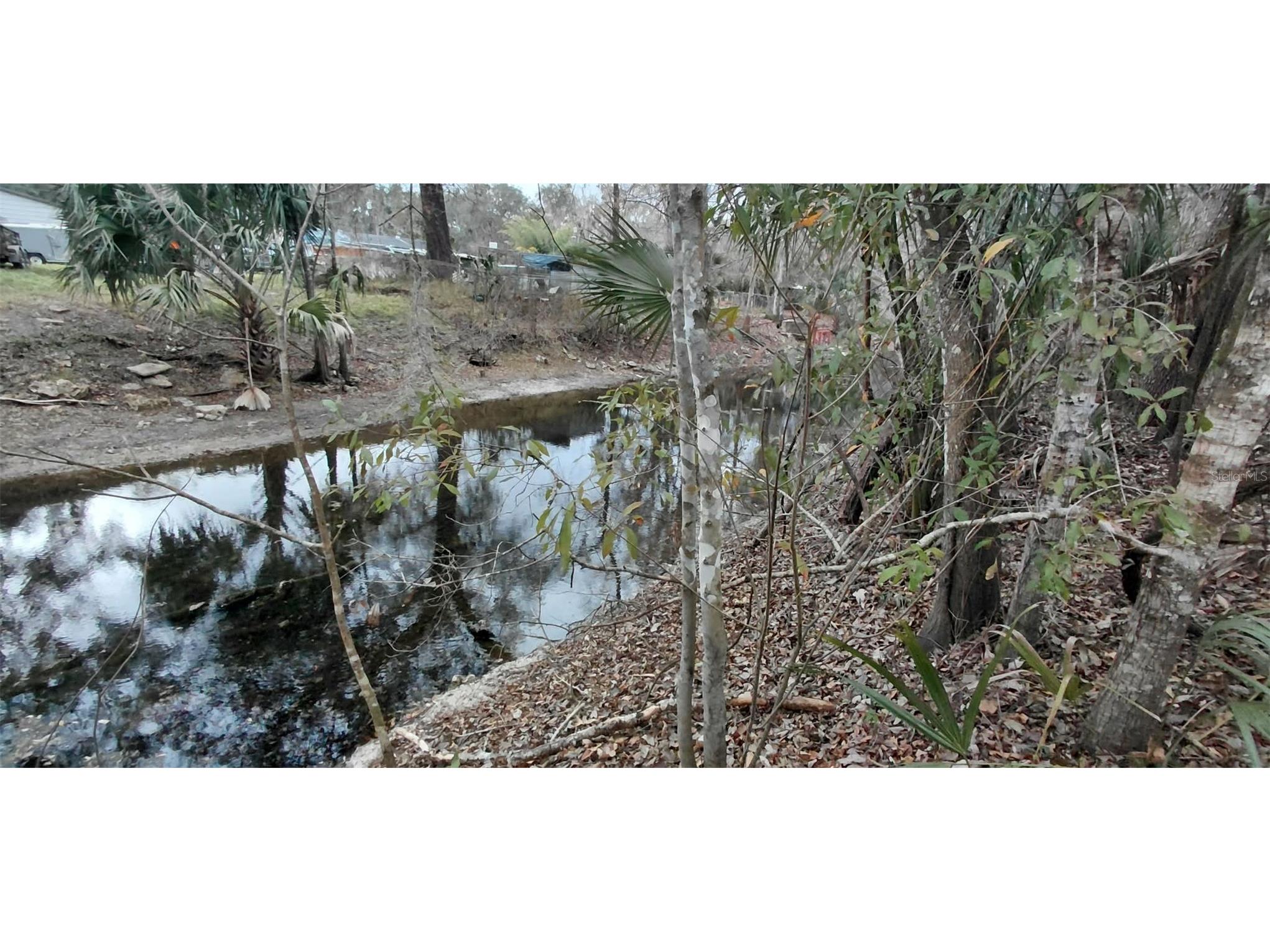 516 S Tuck Point Inverness FL 34450 - CANAL / WITHLACOOCHEE RIVER TB8411867 image53