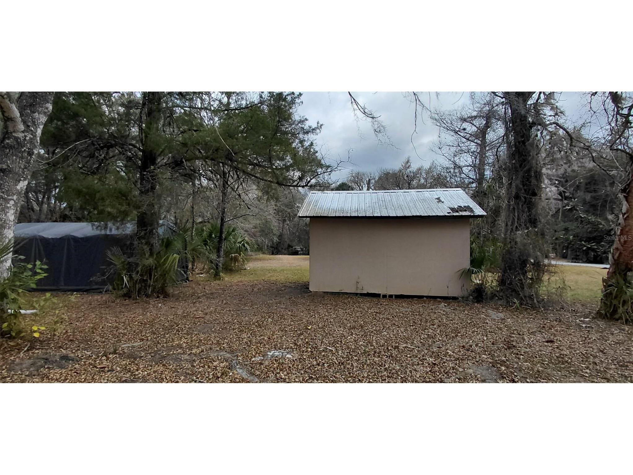 516 S Tuck Point Inverness FL 34450 - CANAL / WITHLACOOCHEE RIVER TB8411867 image54
