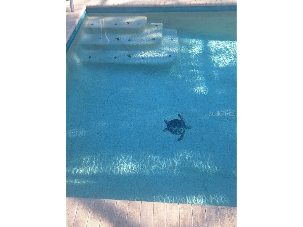 516 Serata Street Venice FL 34285 N6141648 image35