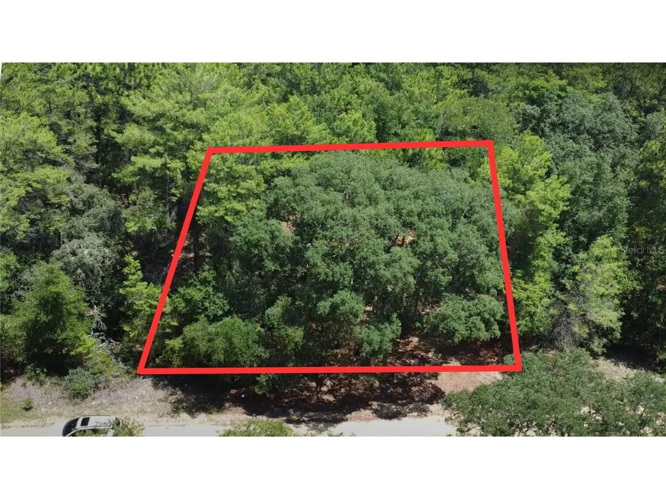 516 Shappell Avenue Interlachen FL 32148 O6340628 image1