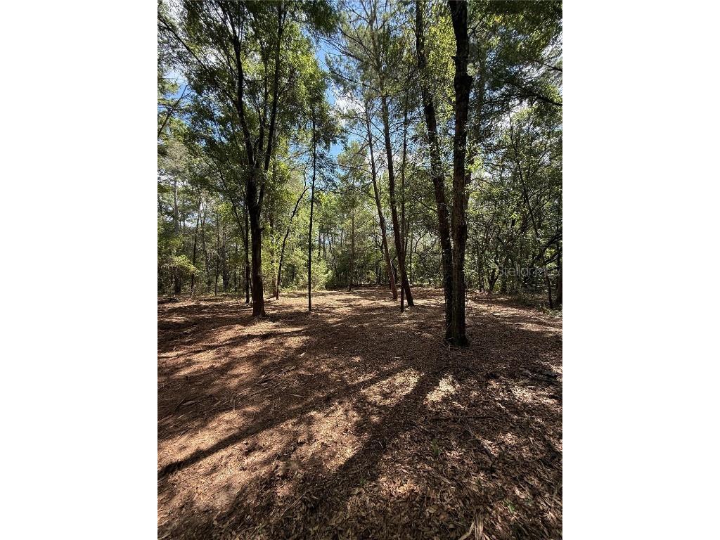 516 Shappell Avenue Interlachen FL 32148 O6340628 image3