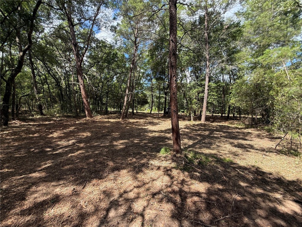 516 Shappell Avenue Interlachen FL 32148 O6340628 image4