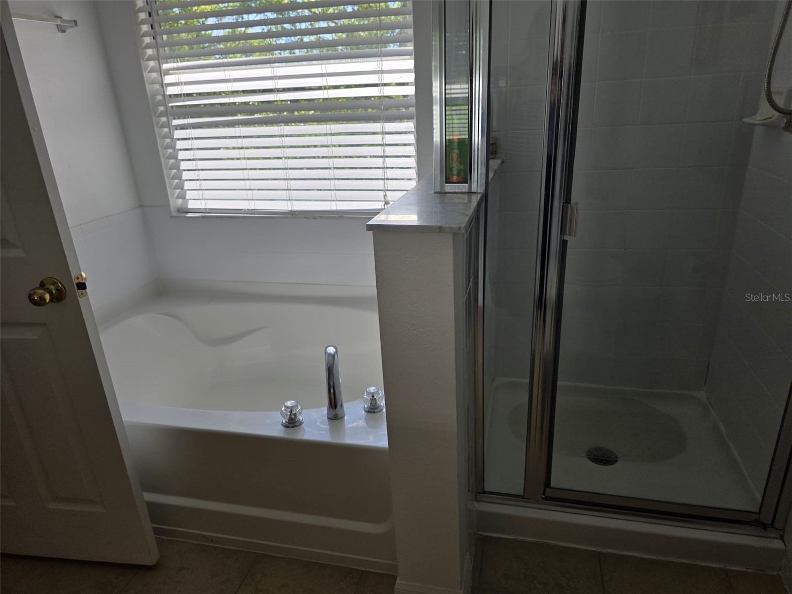 5160 Ambergris Loop Kissimmee FL 34746 S5146105 image23