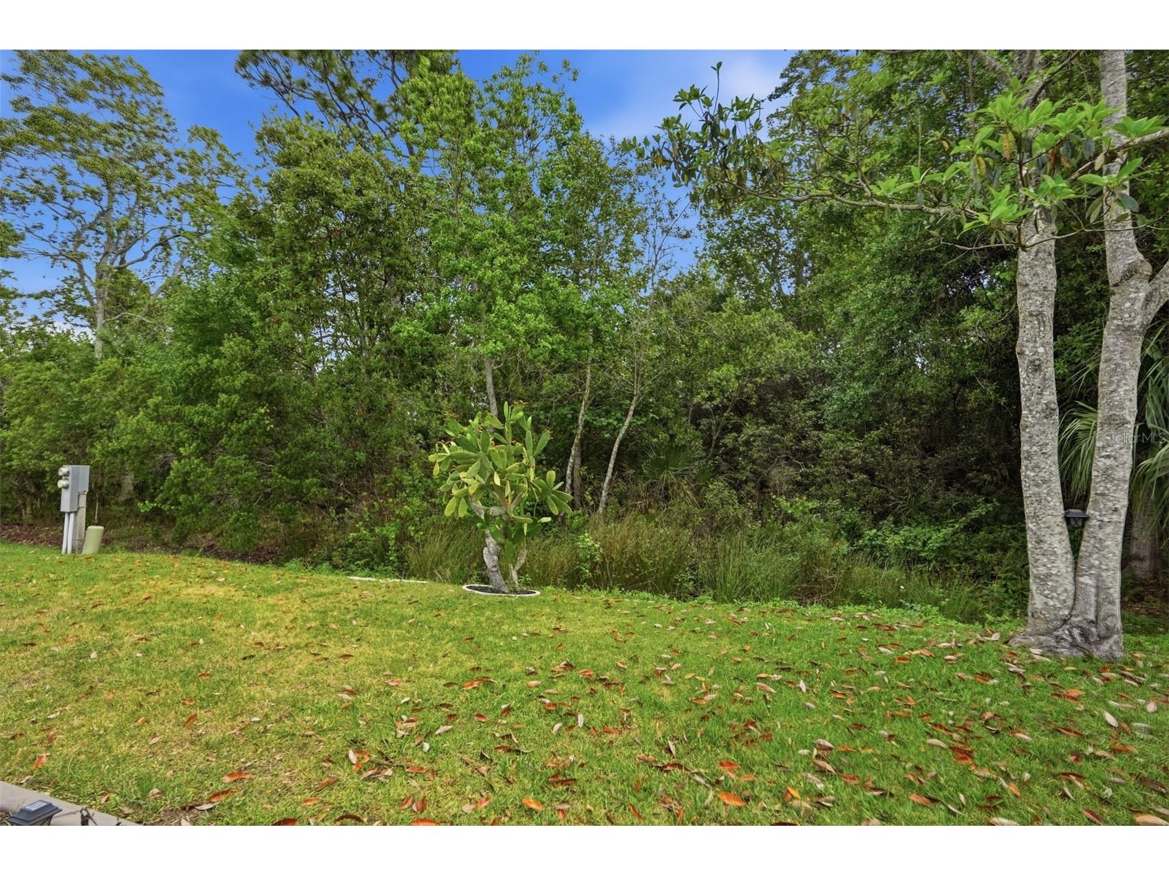 5161 Forest Glenn Drive Spring Hill FL 34607 TB8496167 image39