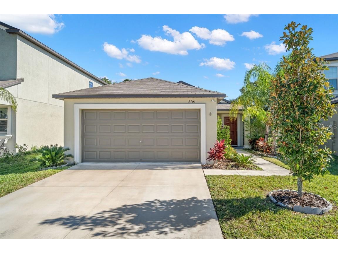 5161 White Chicory Drive Apollo Beach FL 33572 T3493051 image1