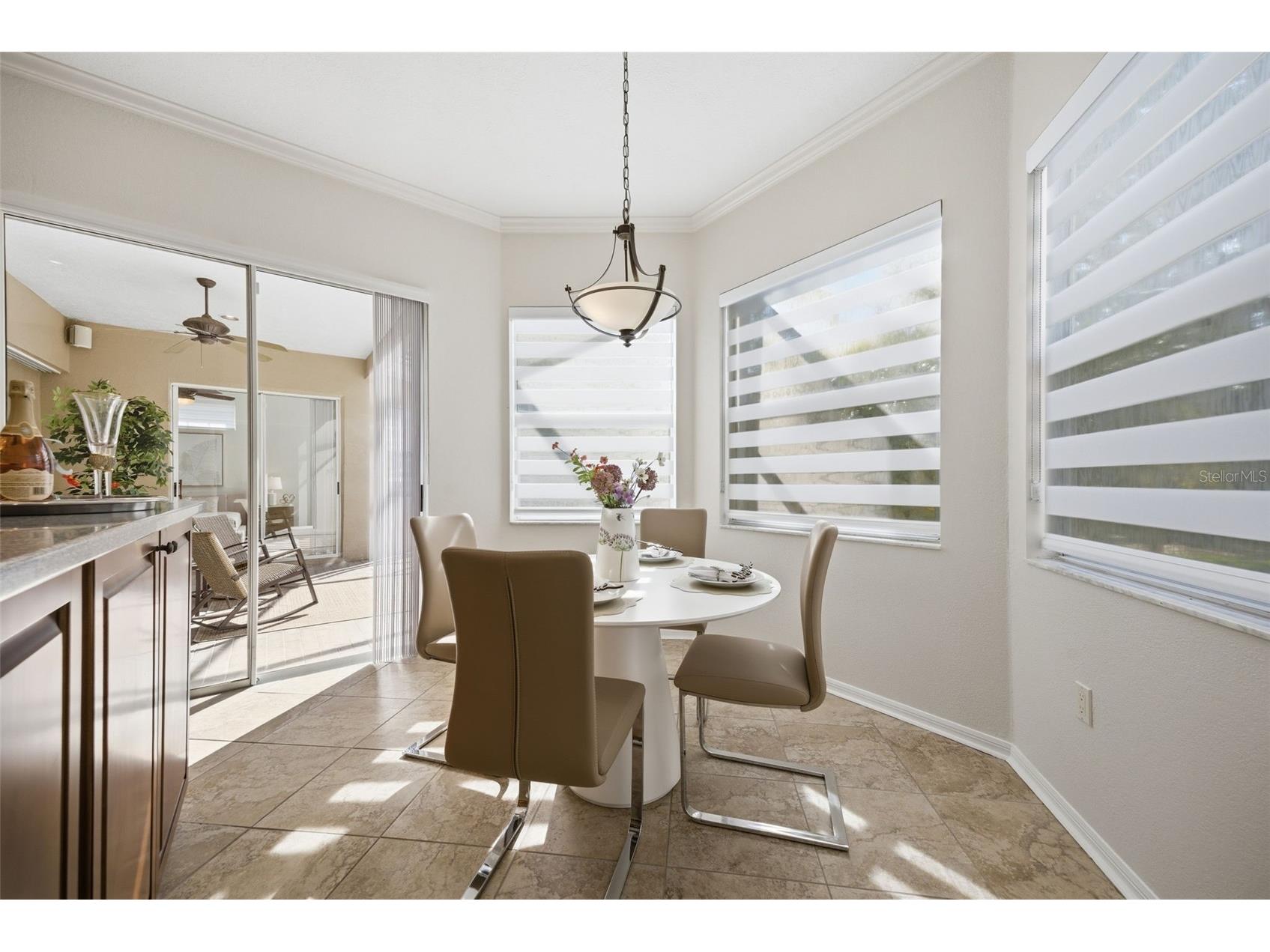 5163 Pinnacle Drive Oldsmar FL 34677 TB8510486 image17
