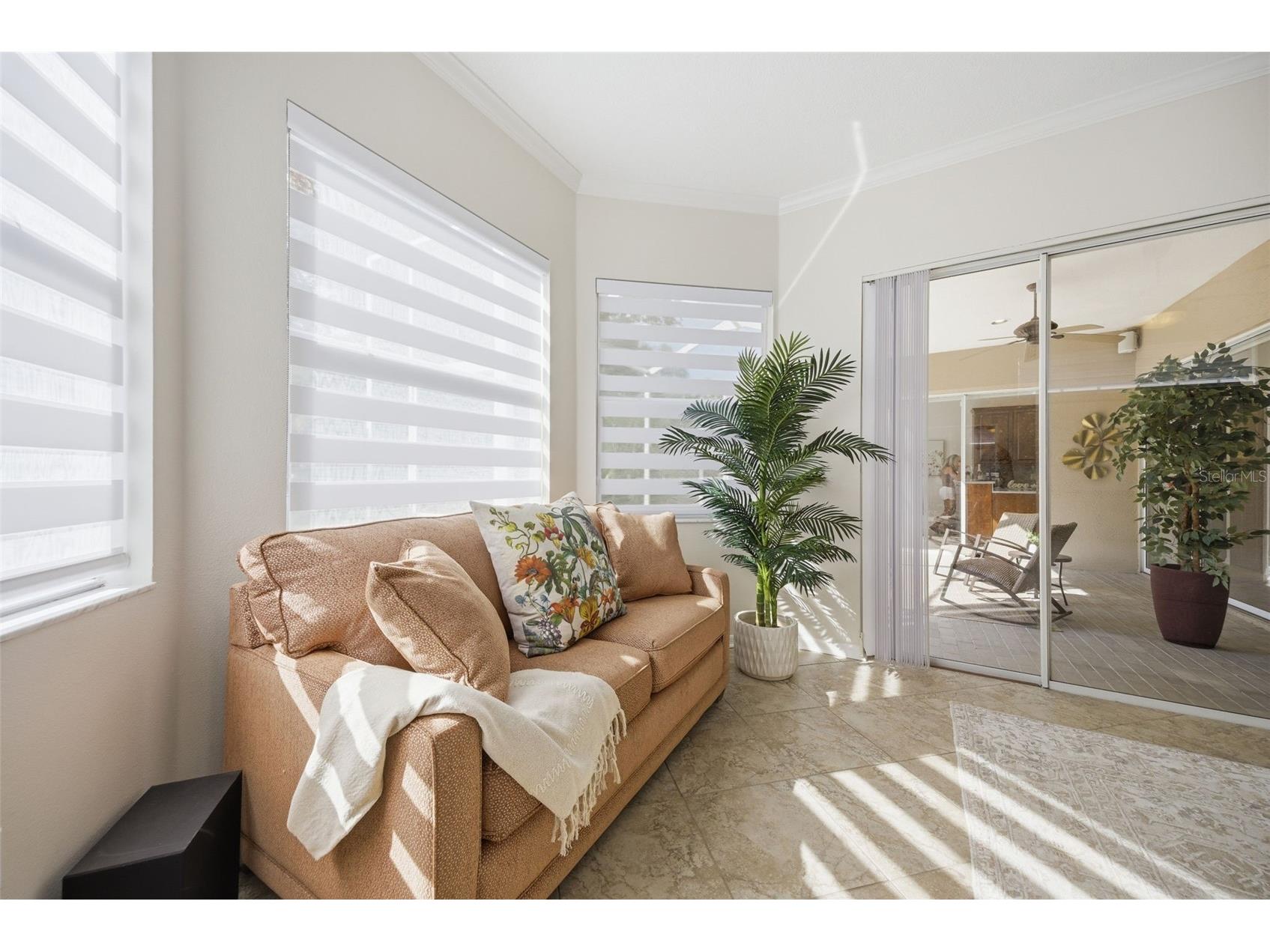 5163 Pinnacle Drive Oldsmar FL 34677 TB8510486 image19