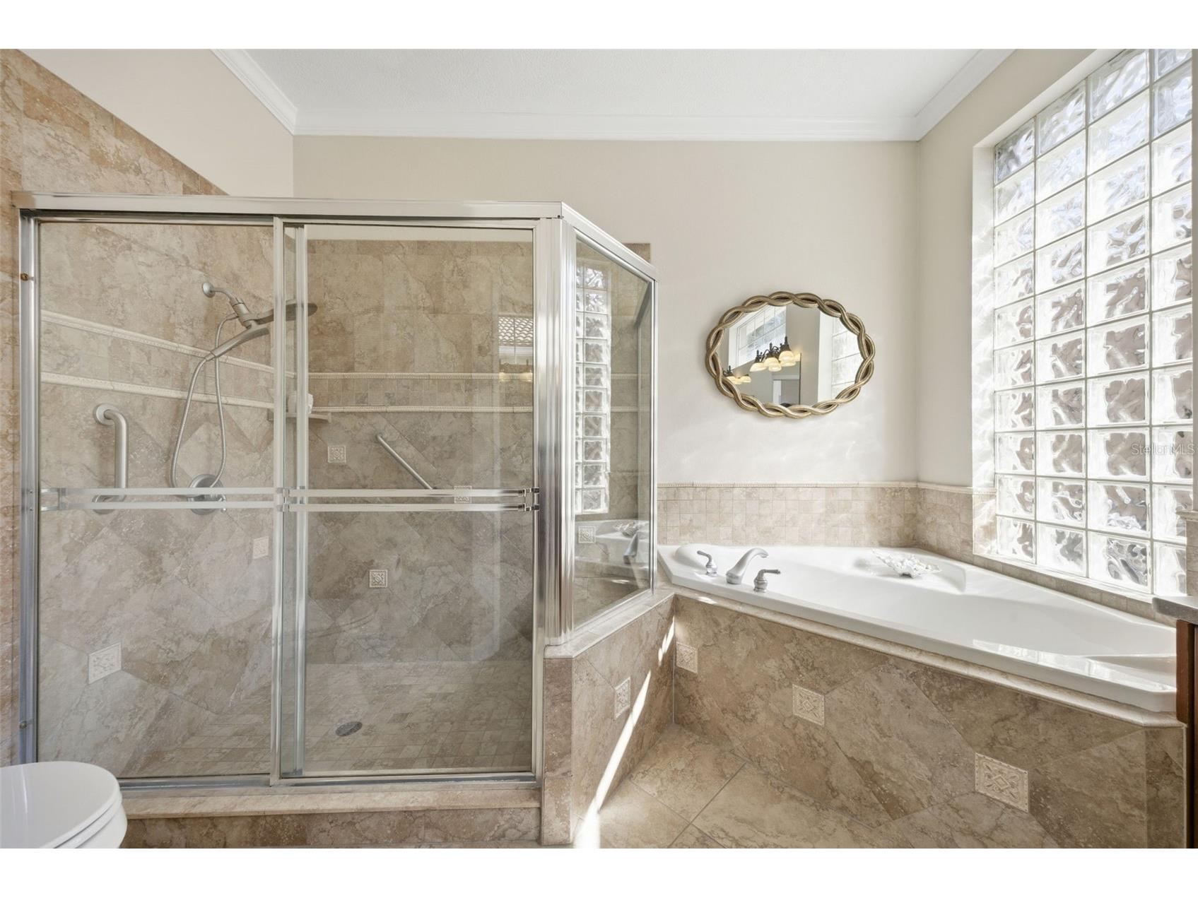 5163 Pinnacle Drive Oldsmar FL 34677 TB8510486 image23
